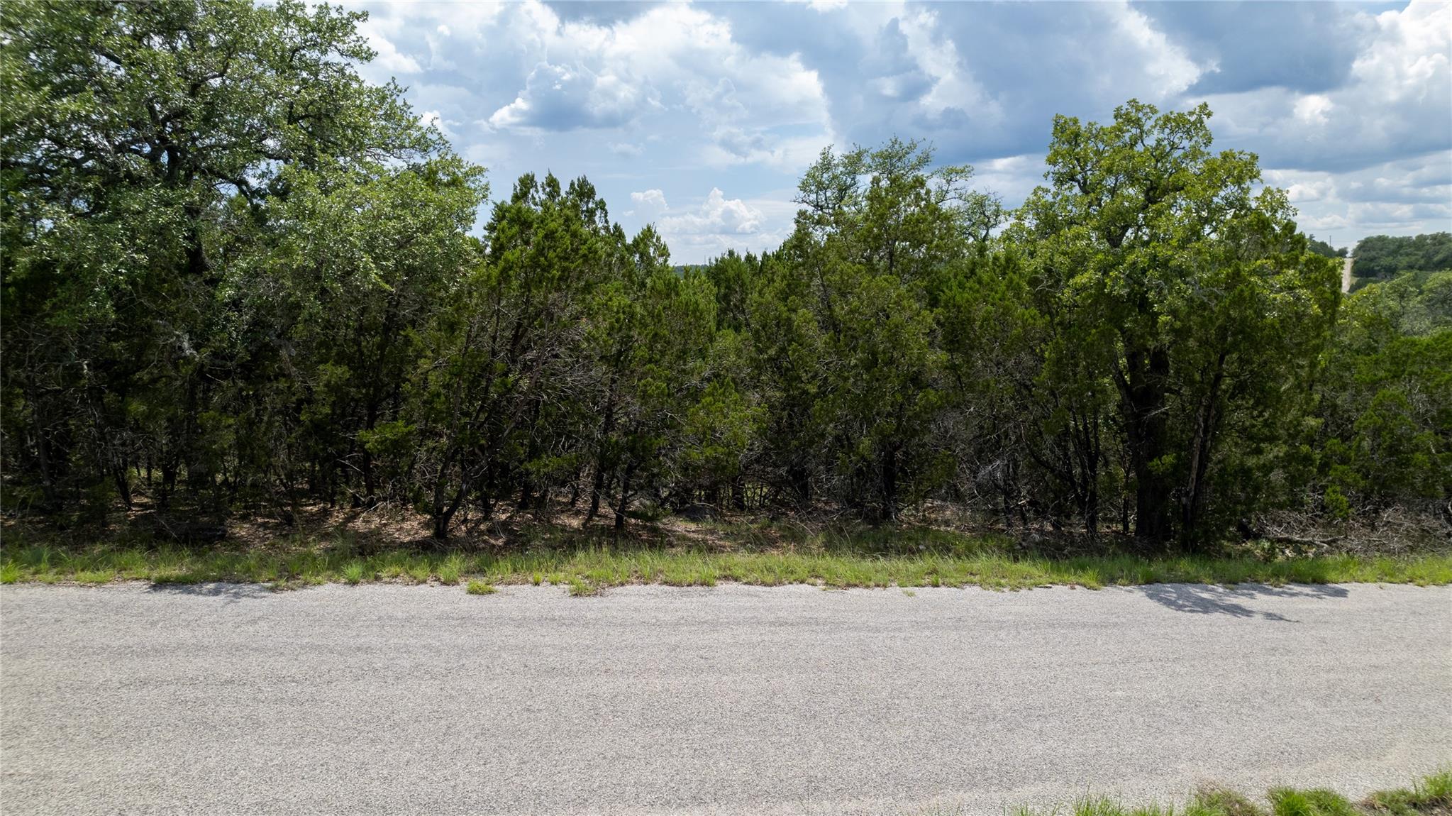 Listing photo 1 of HB Lot K10033  Mountain Dew None