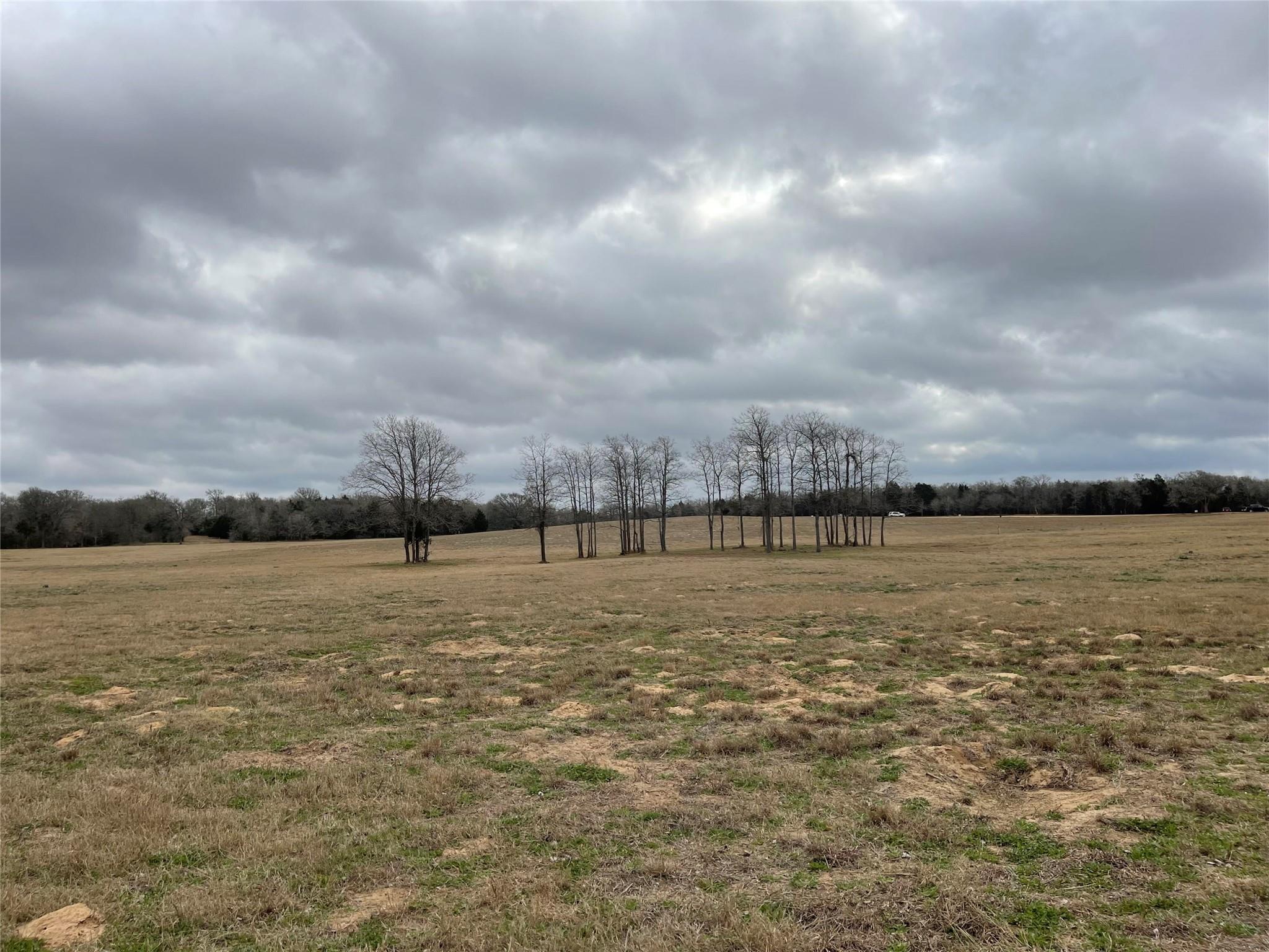 View of grassy yard featuring a rural view
