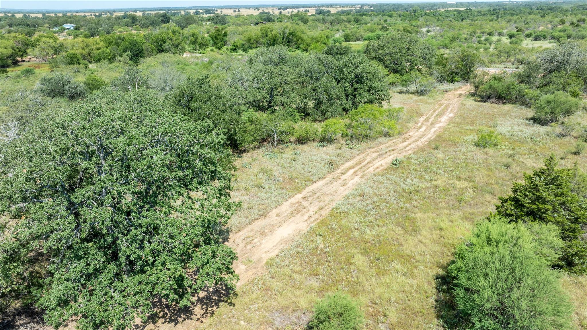 Aerial view of a heavily wooded area
