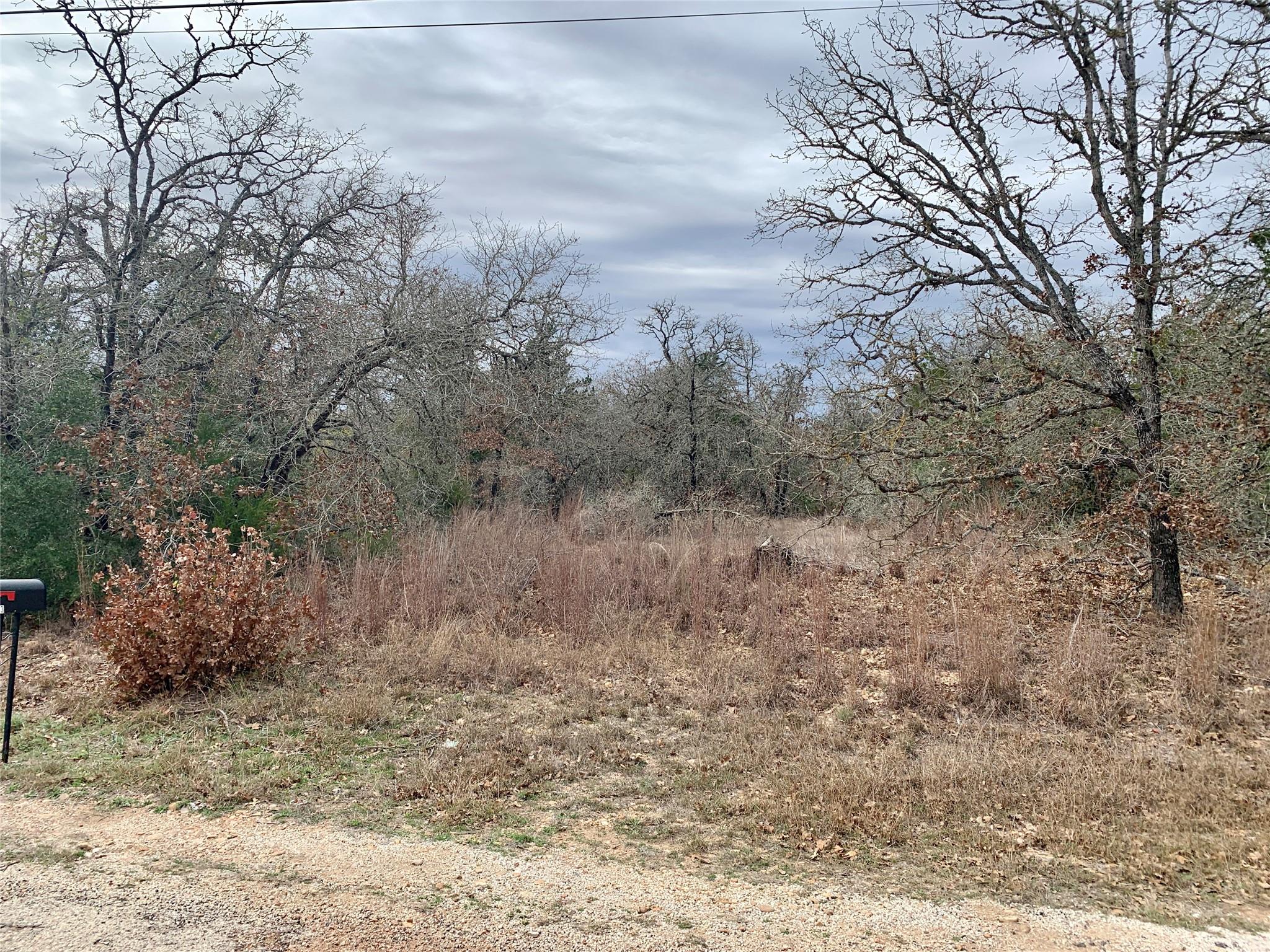 View of local wilderness