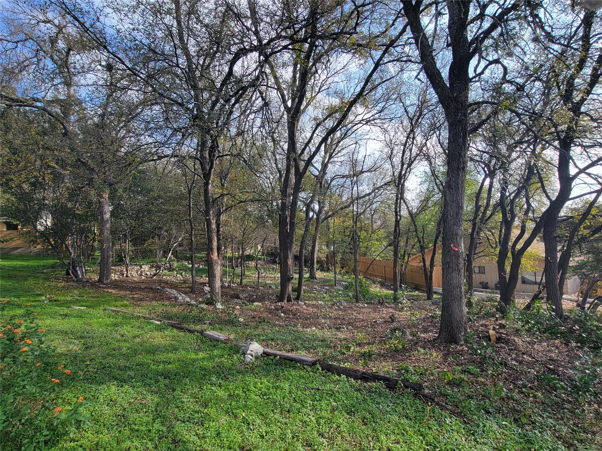 View of green lawn