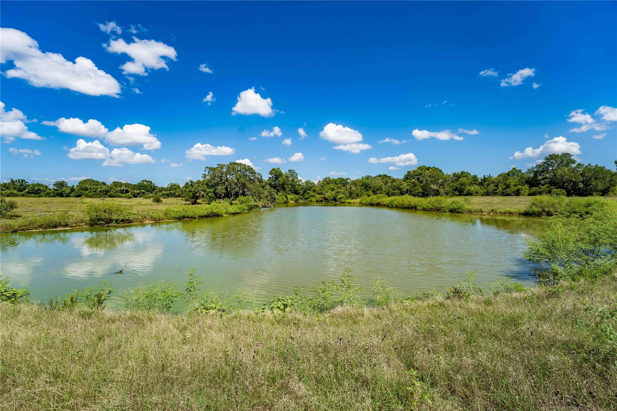 Listing photo 1 of TBD  CR 253 None