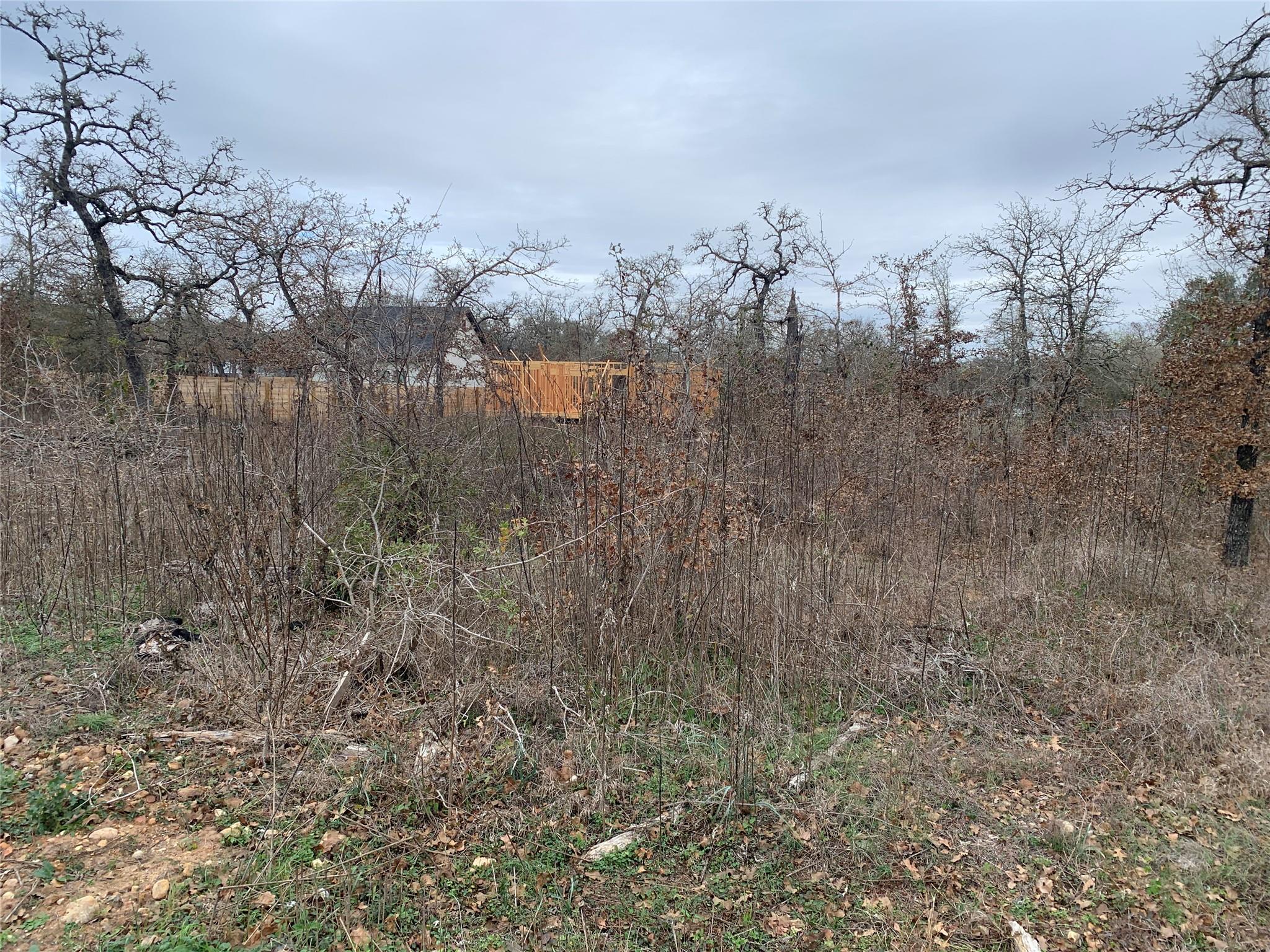 View of nature