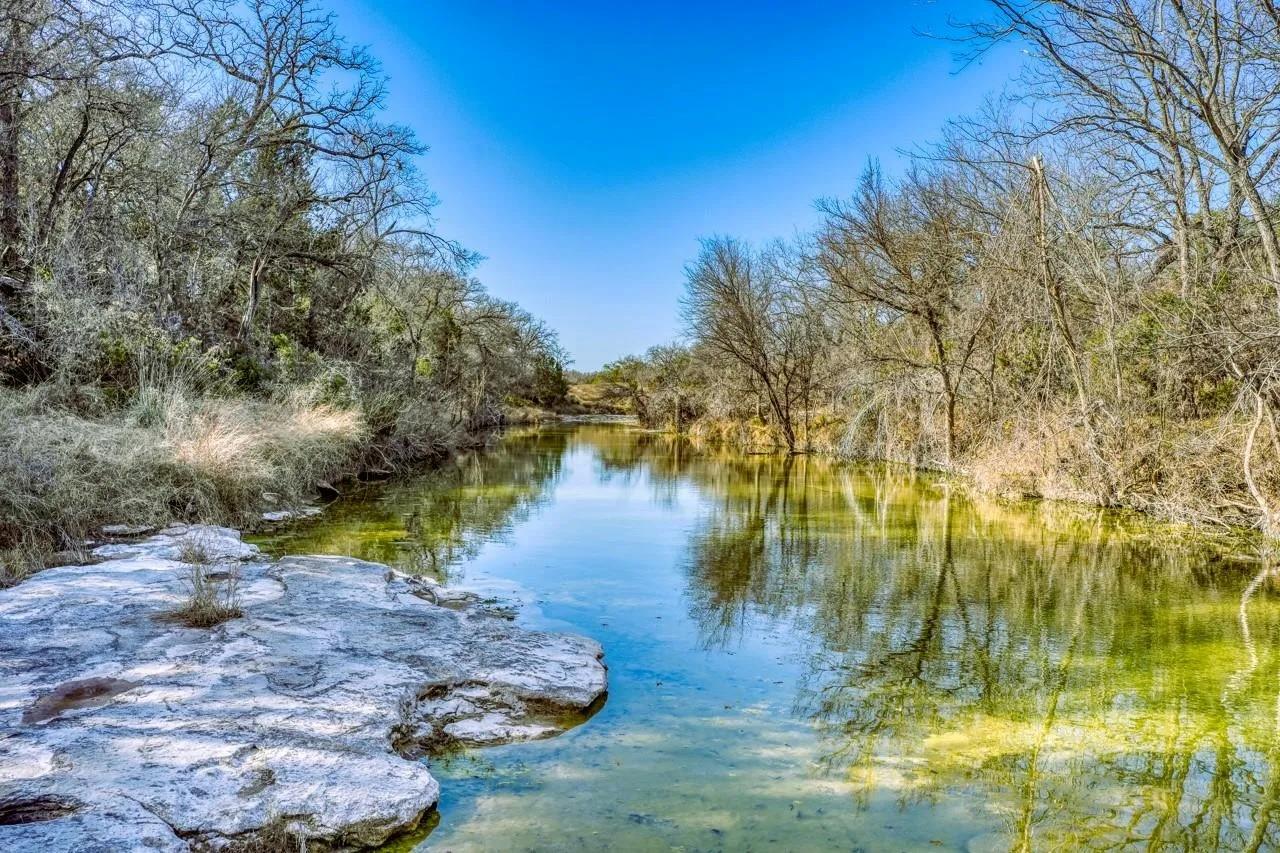 Water view featuring a forest