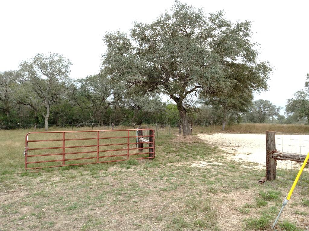 Listing photo 1 of 251  Lefty Lane Ln