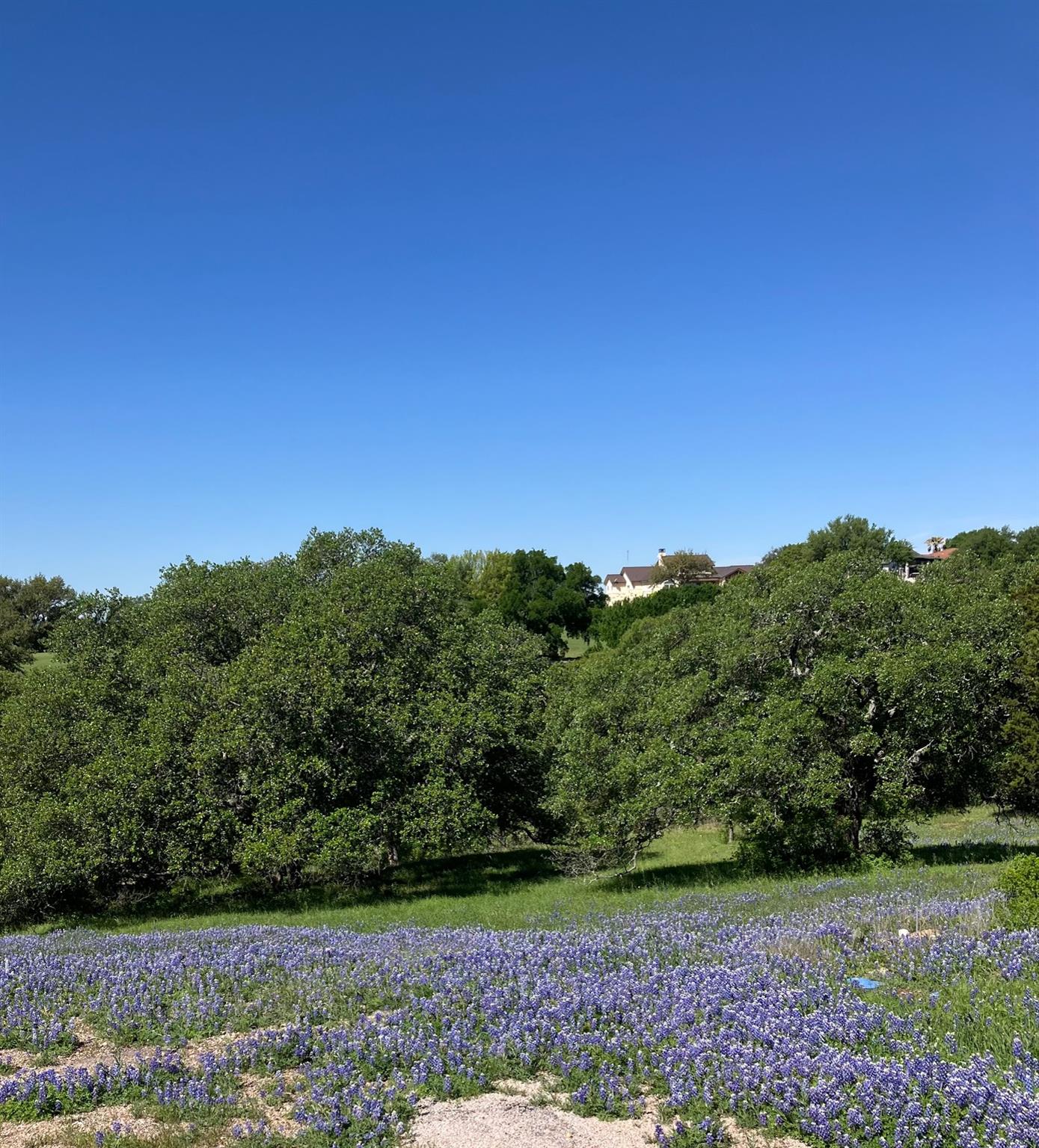 View of undeveloped land