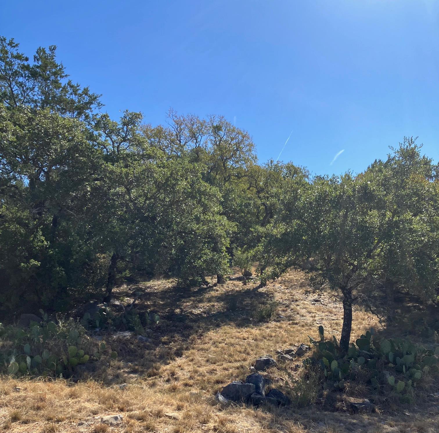 View of undeveloped land