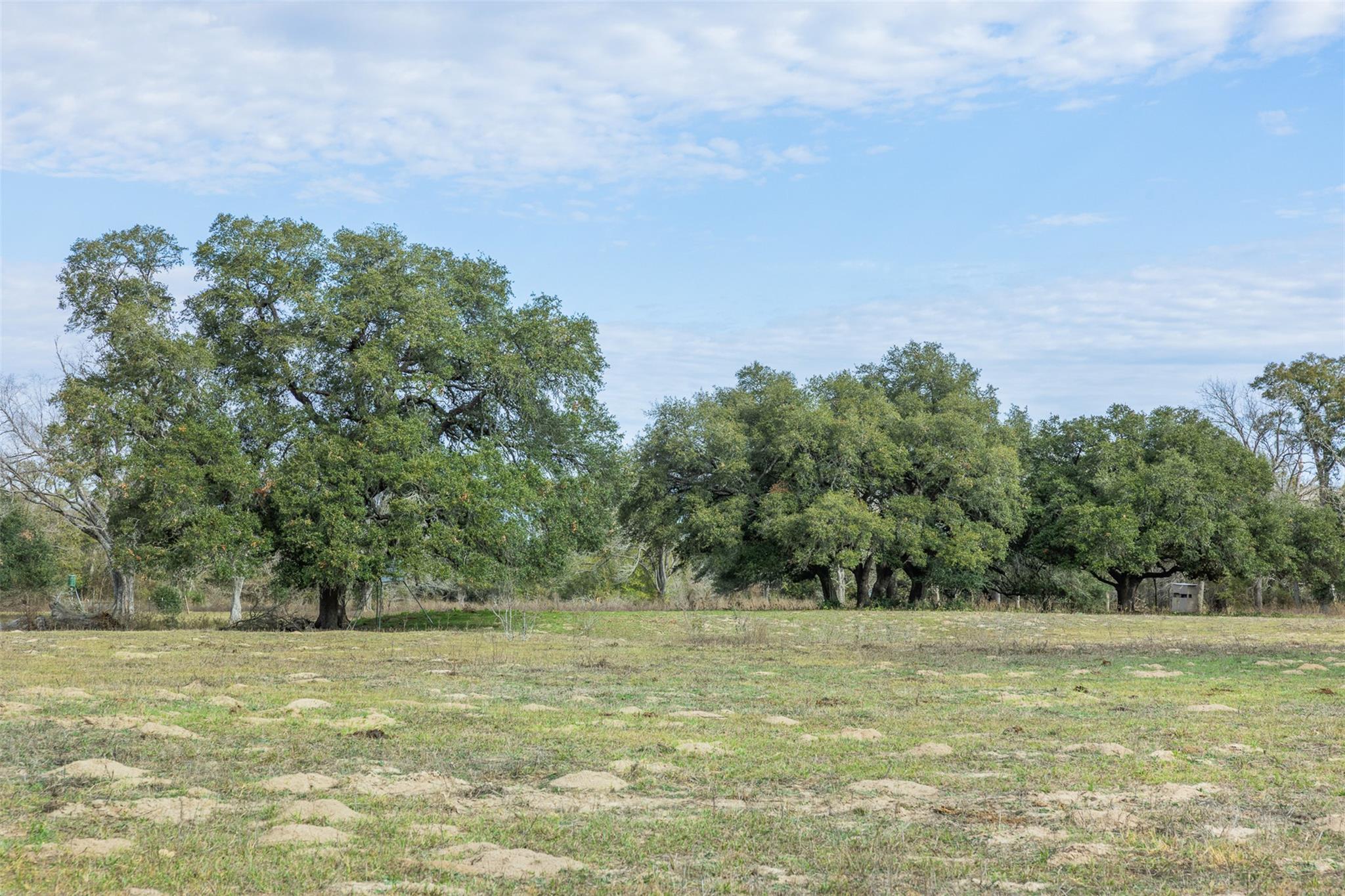 Listing photo 1 of 1820  South Old Smithville Rd