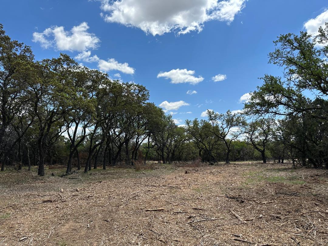 View of undeveloped land