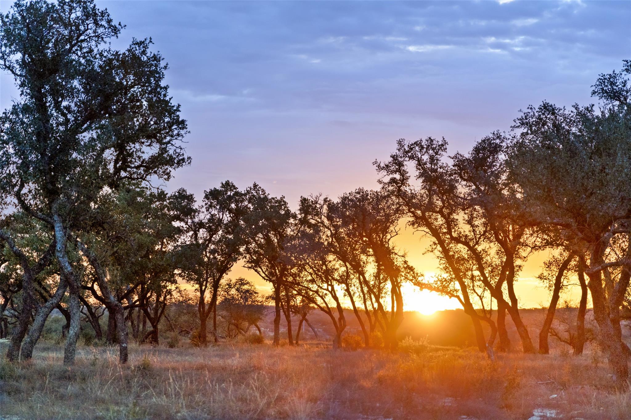 View of nature at dusk