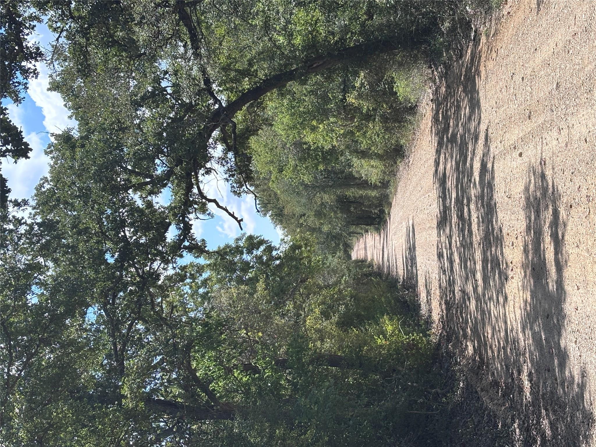 Listing photo 1 of TBD 10.04 AC  County Road 413 None