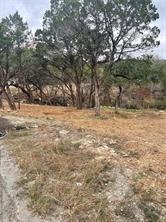 View of local wilderness