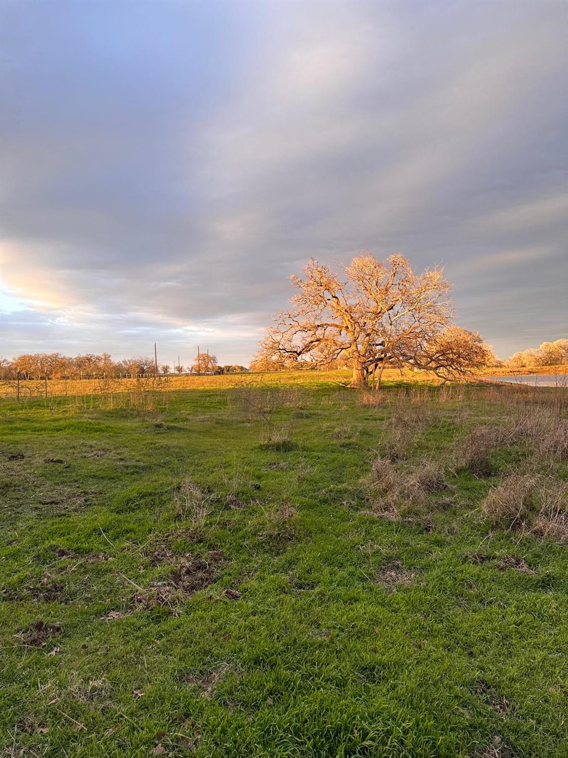Expansive grassy terrain featuring a prominent ma