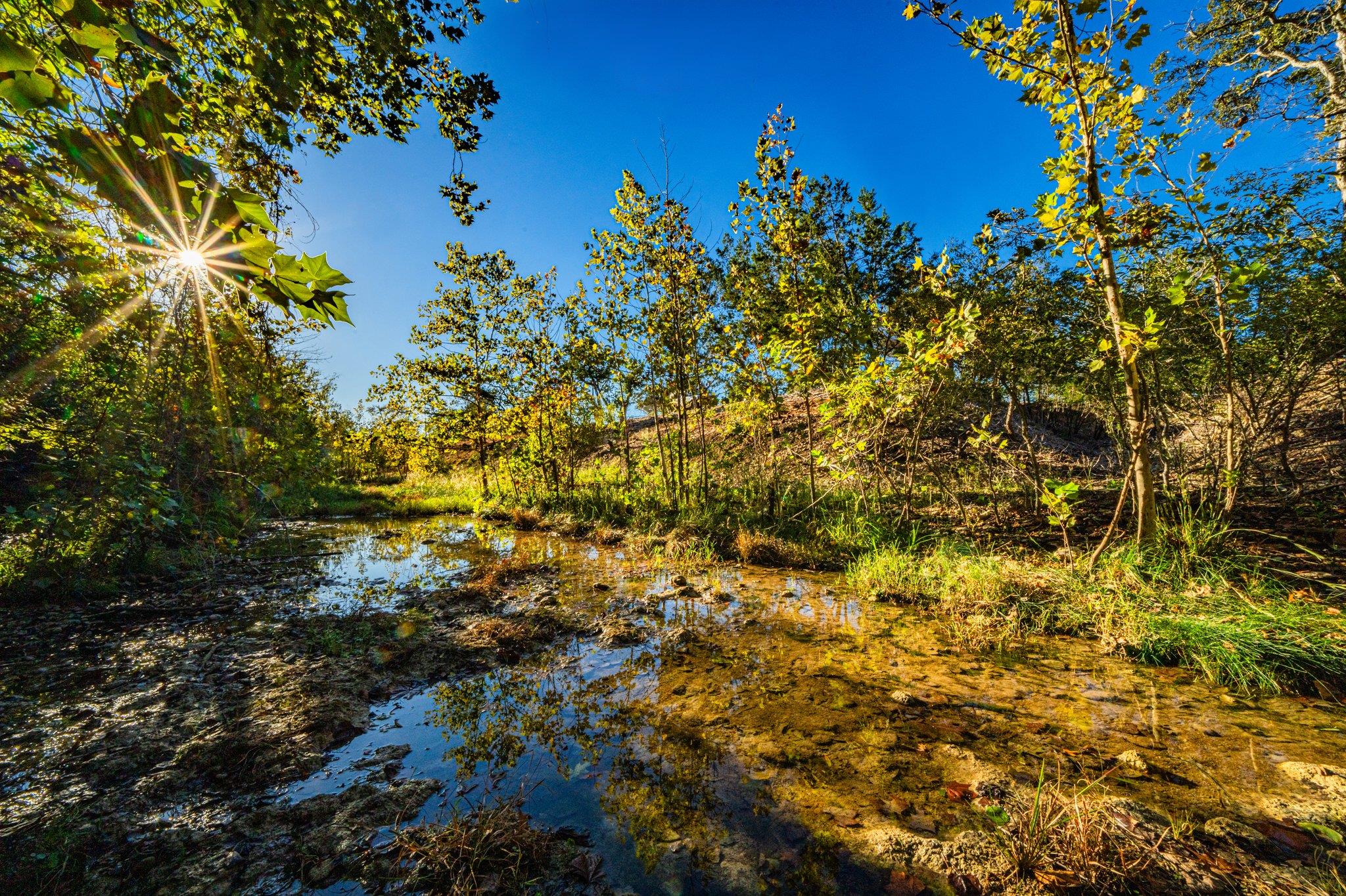 View of nature