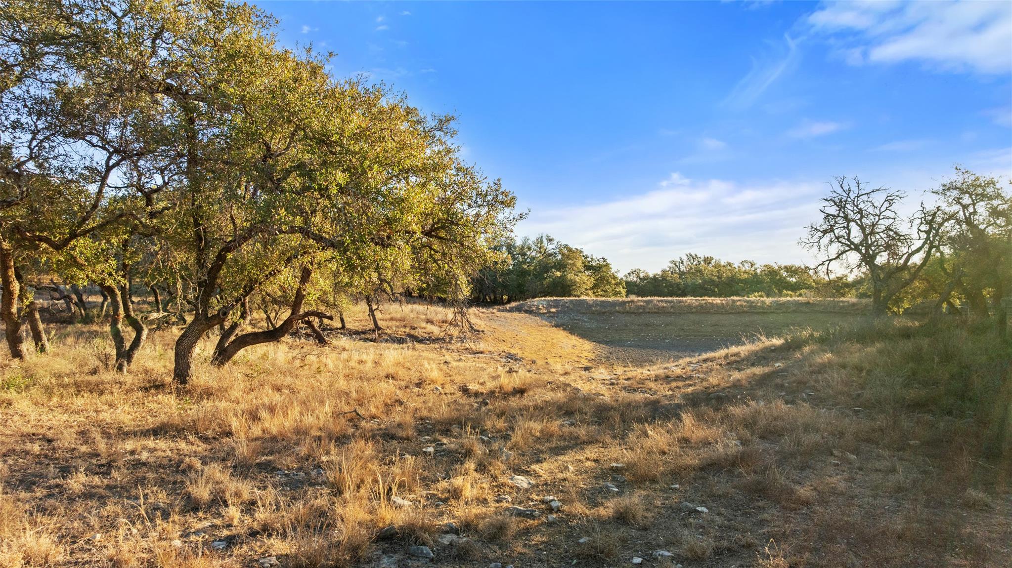 View of undeveloped land featuring rural landscape