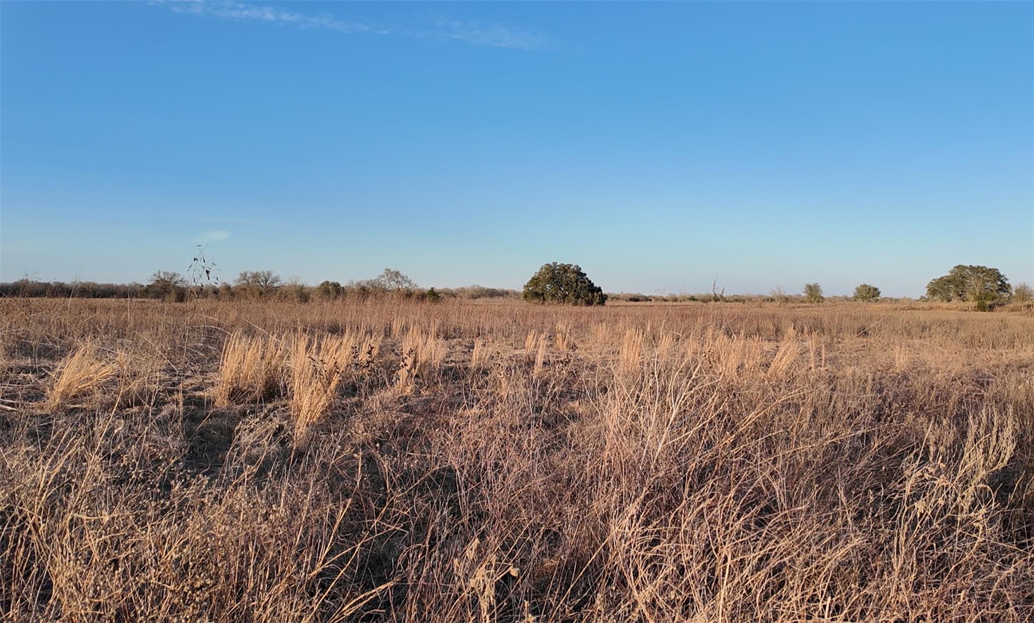 View of undeveloped land with rural landscape