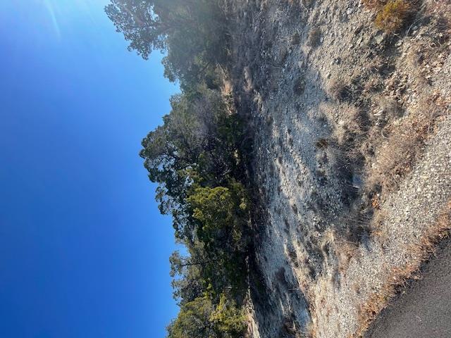 Listing photo 1 of 6405 S Shady Ln