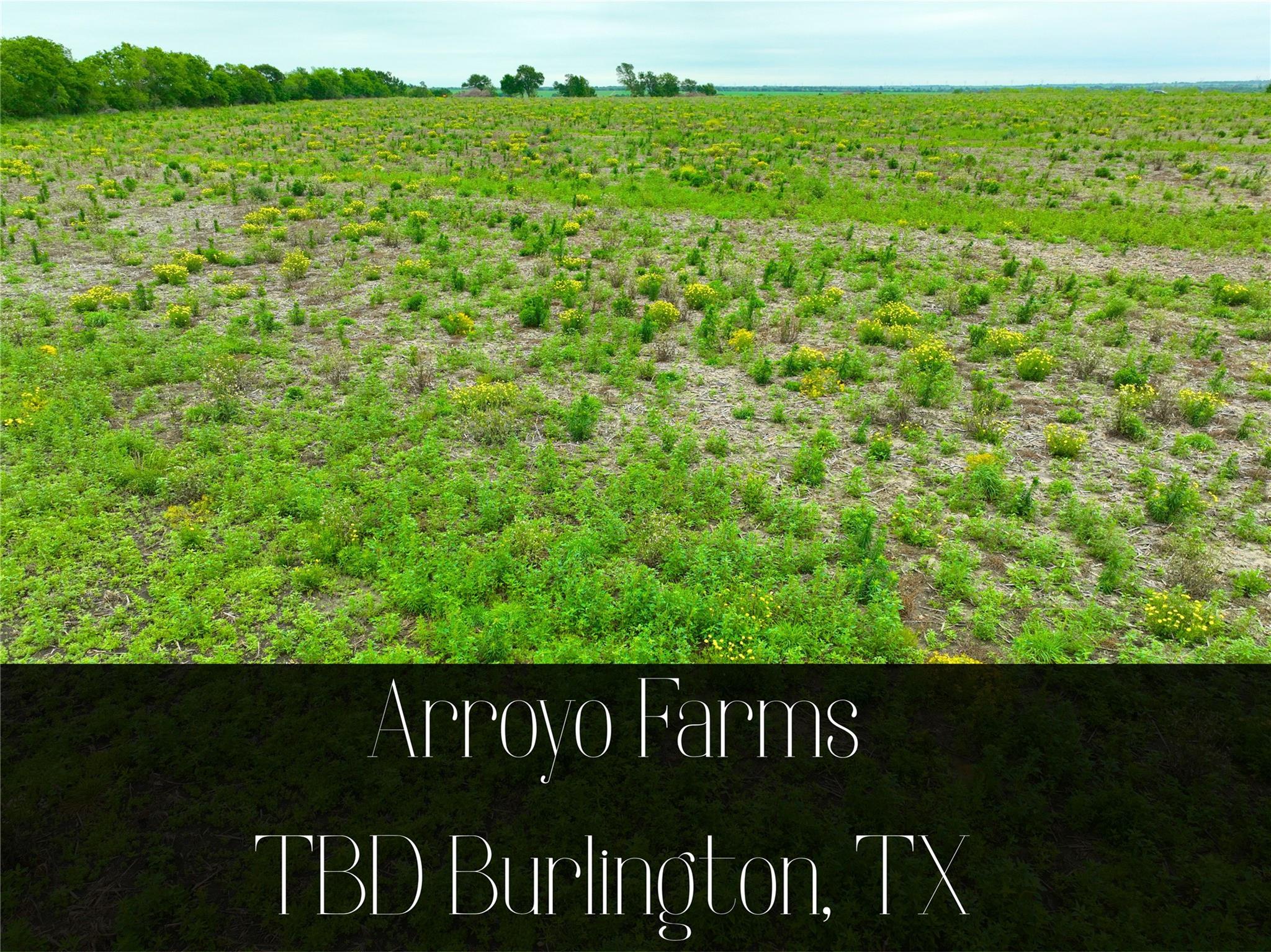 Listing photo 1 of TBD Lot 6, Blk 2  132 Rd