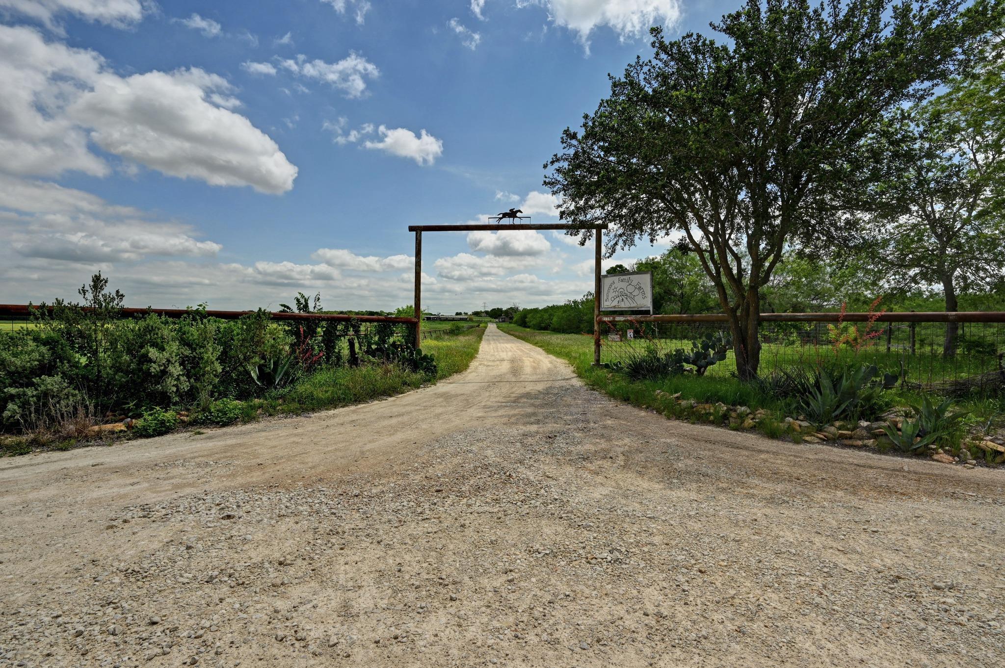 Gravel drive leading to a metal gate with decorat