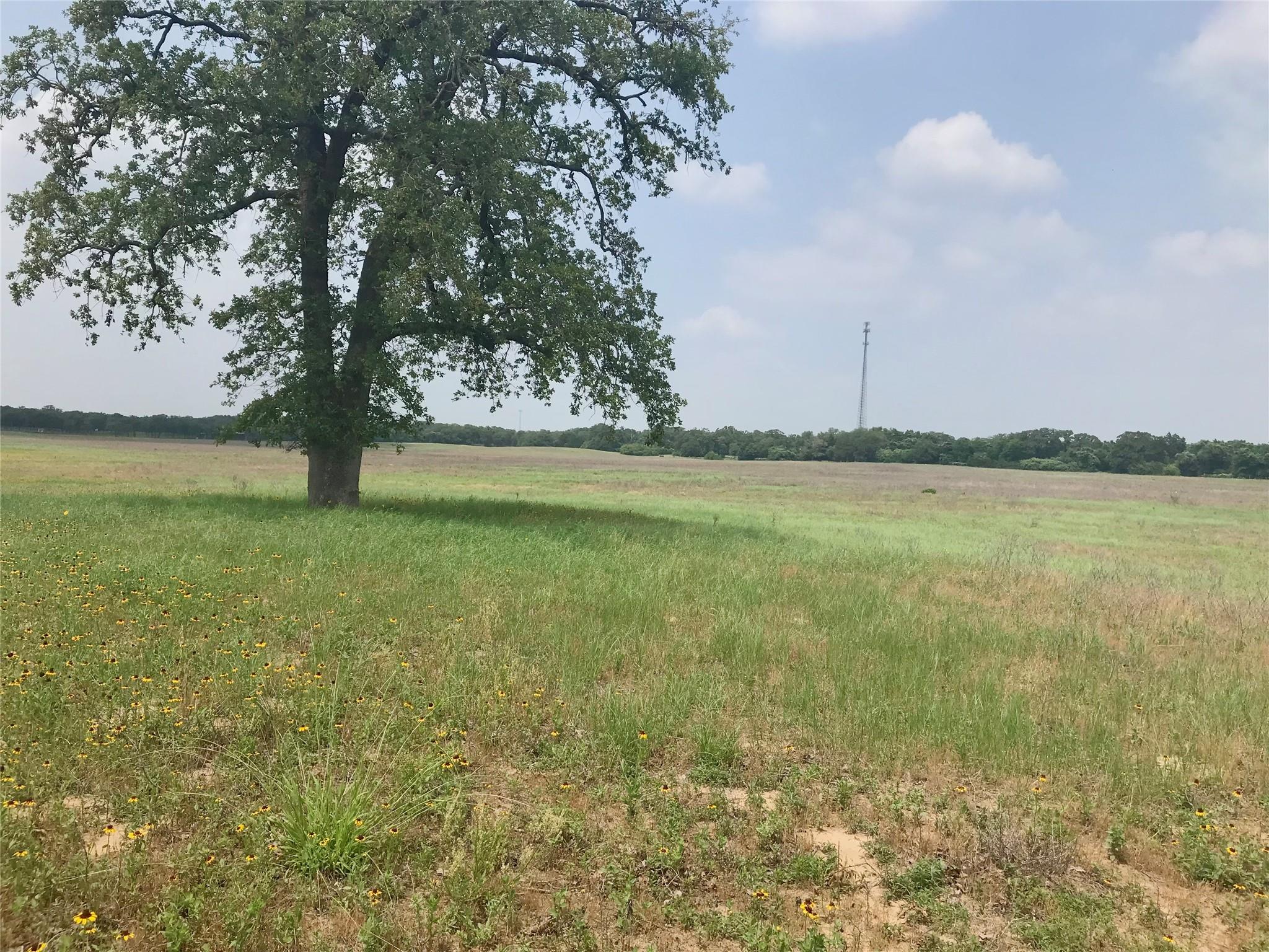 Listing photo 1 of 1672  Sayers Rd  #Tract 1
