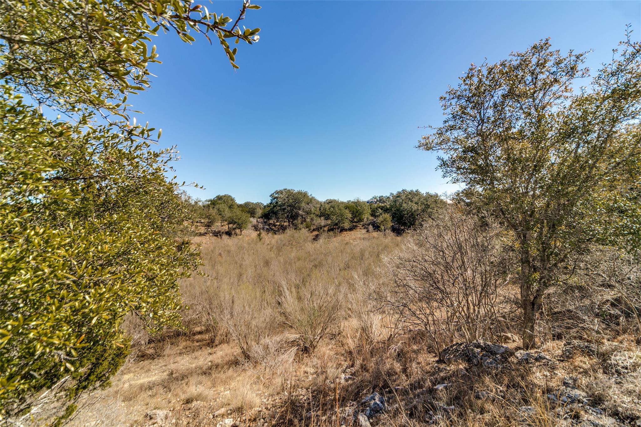 View of local wilderness