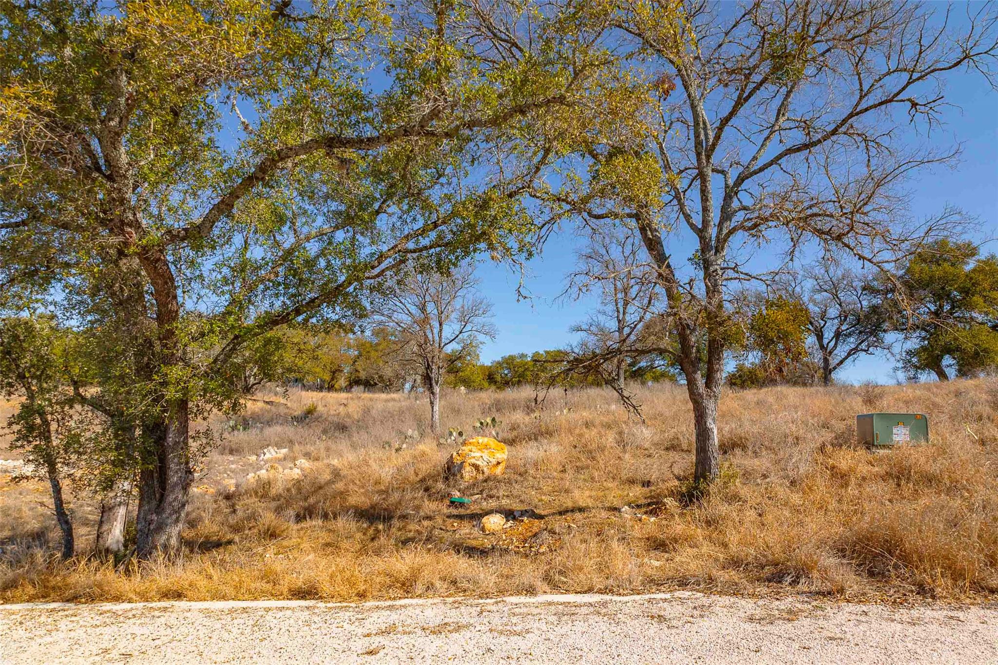 View of local wilderness