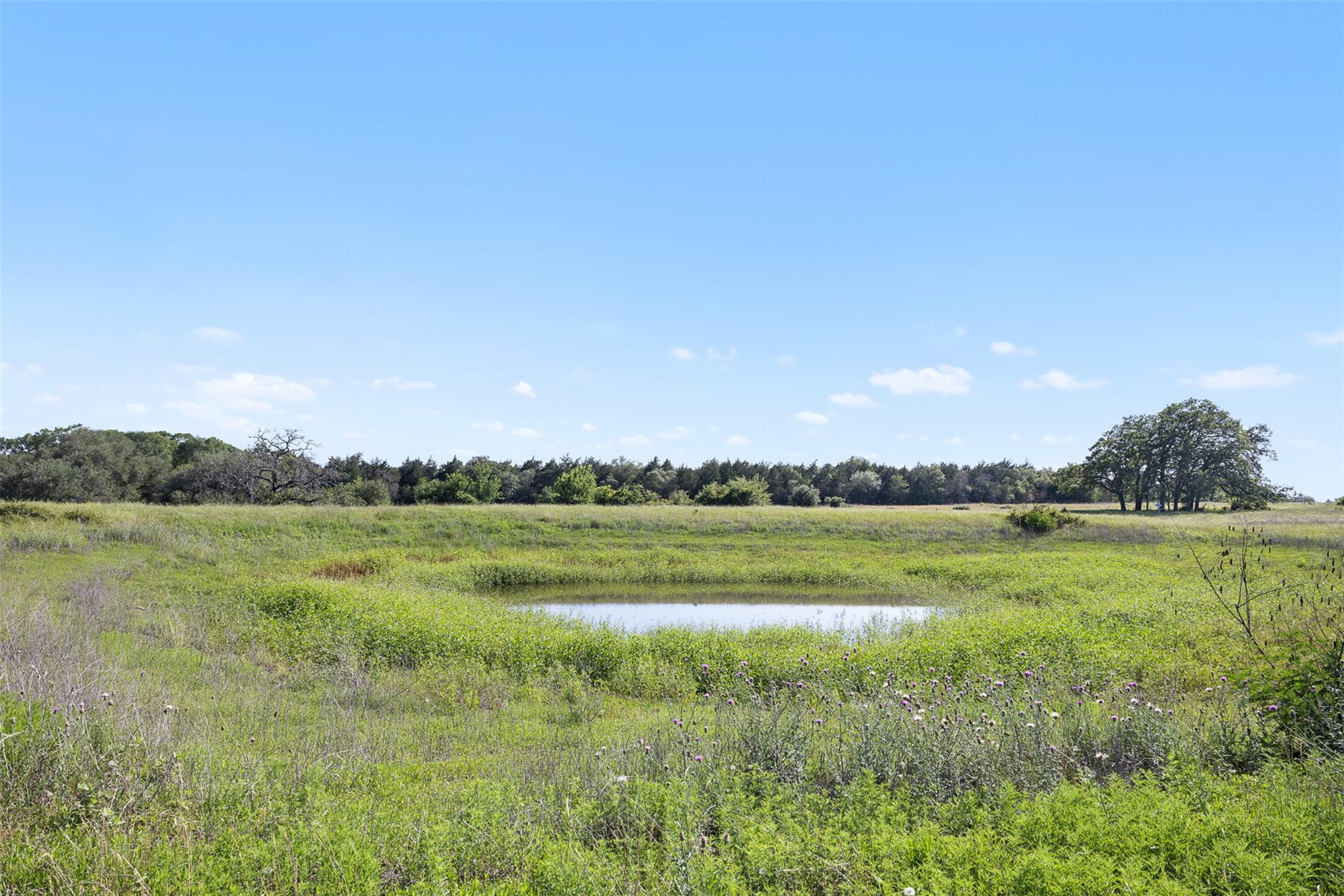 Listing photo 1 of 1310 N Nassau Rd
