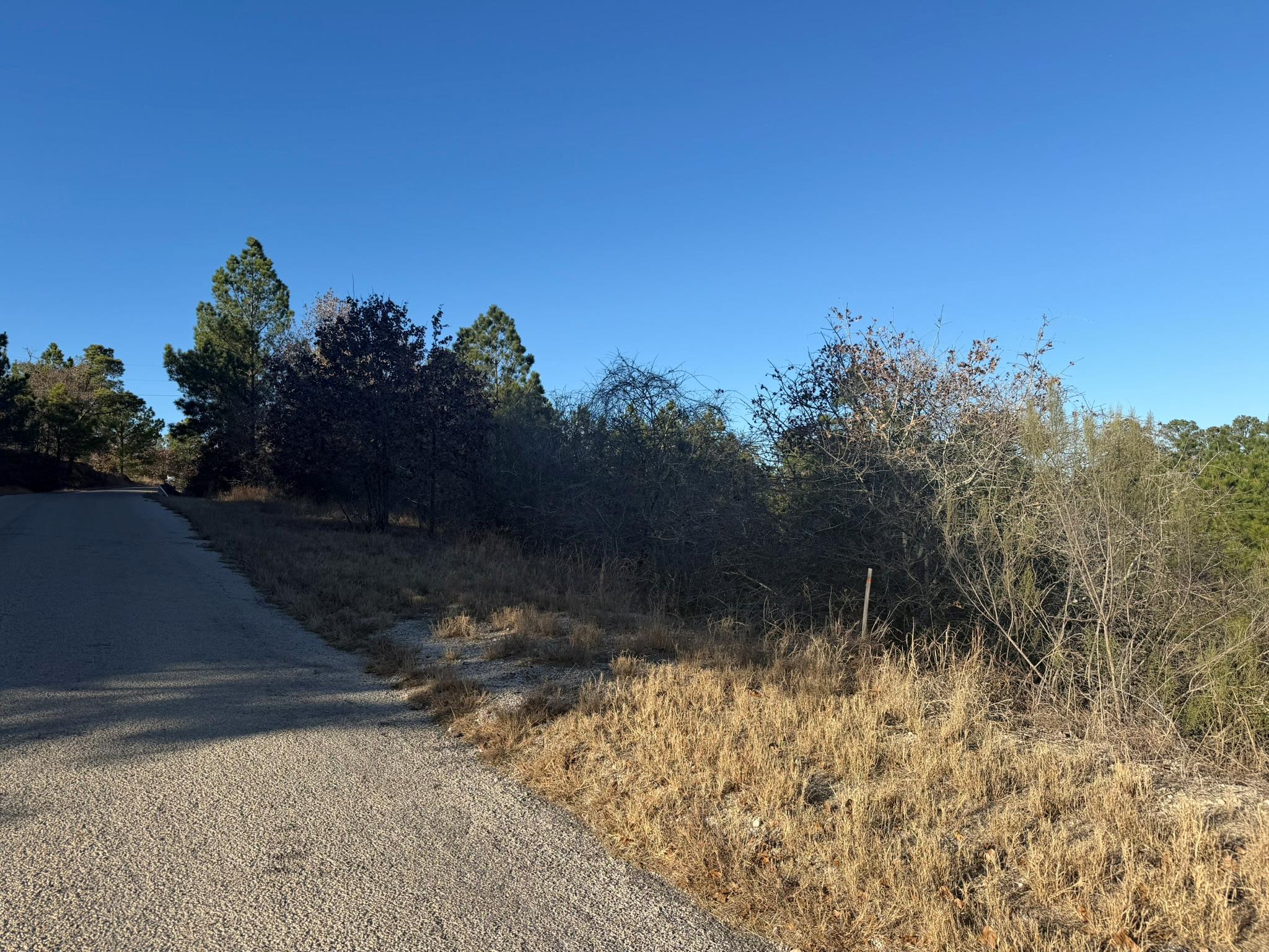 View of asphalt street