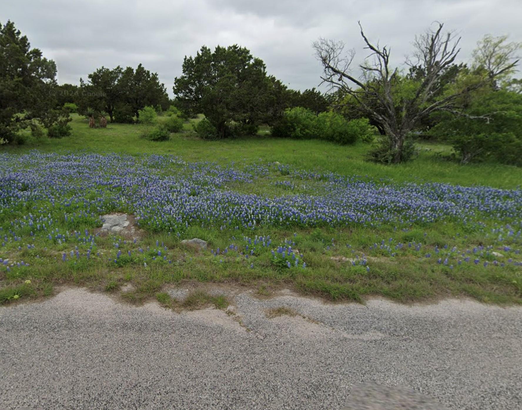 View of nature