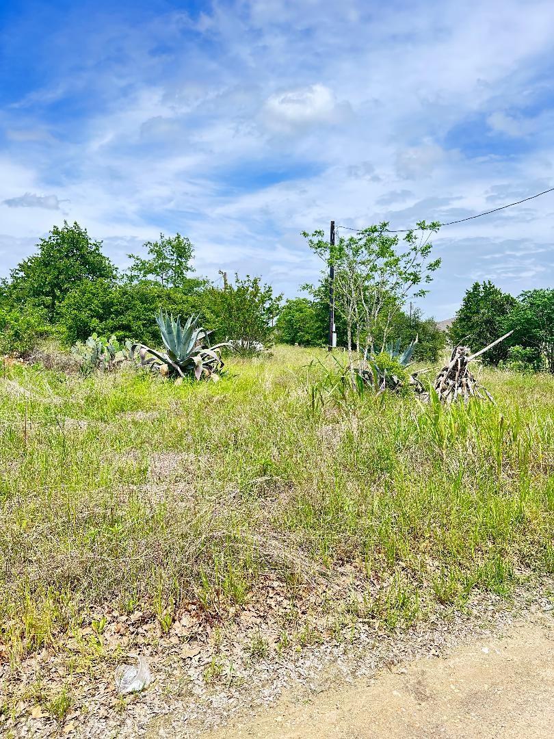 Listing photo 1 of 126  Wild Bird Loop