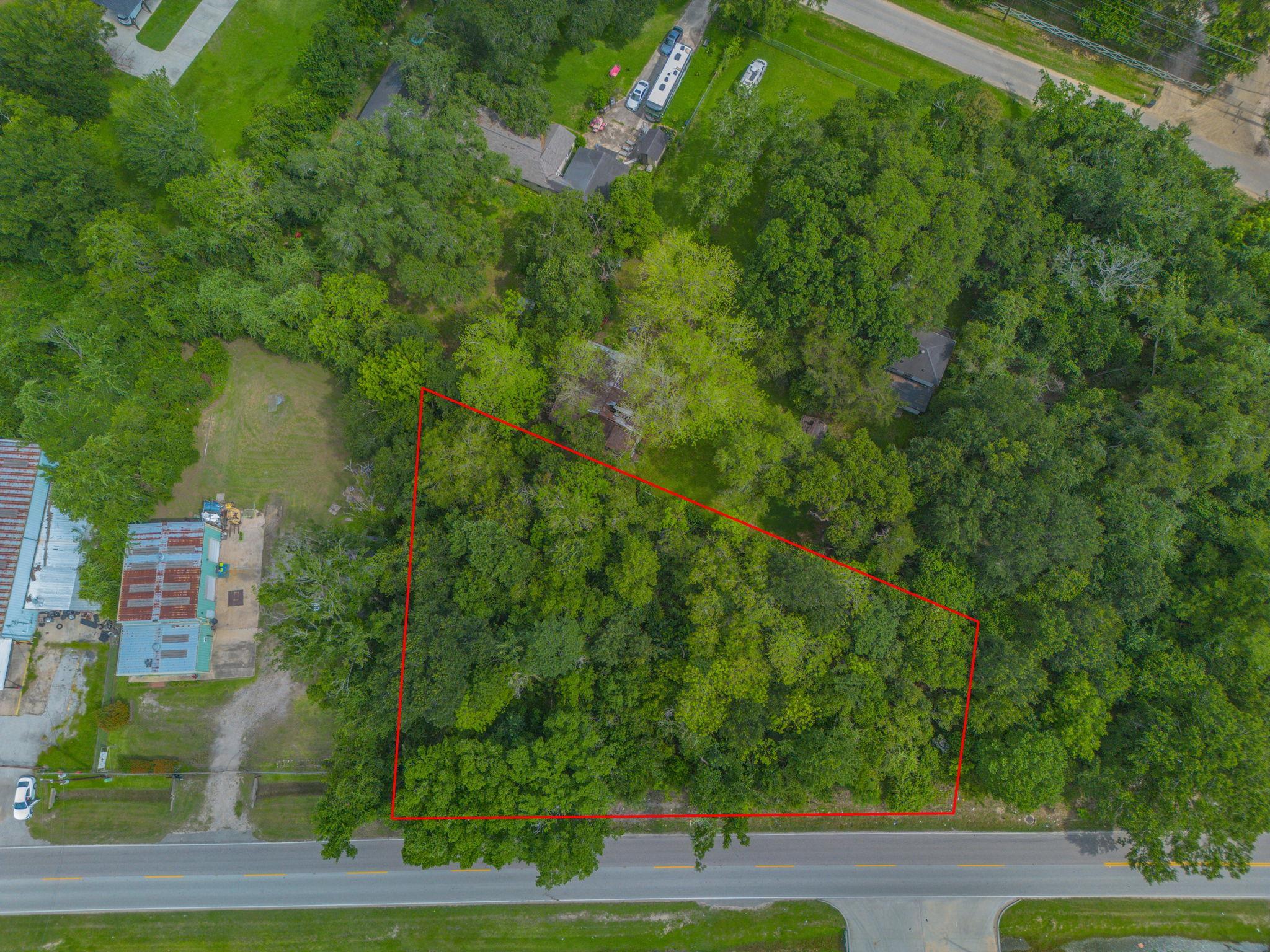 A promising woodland parcel, outlined in red, awa