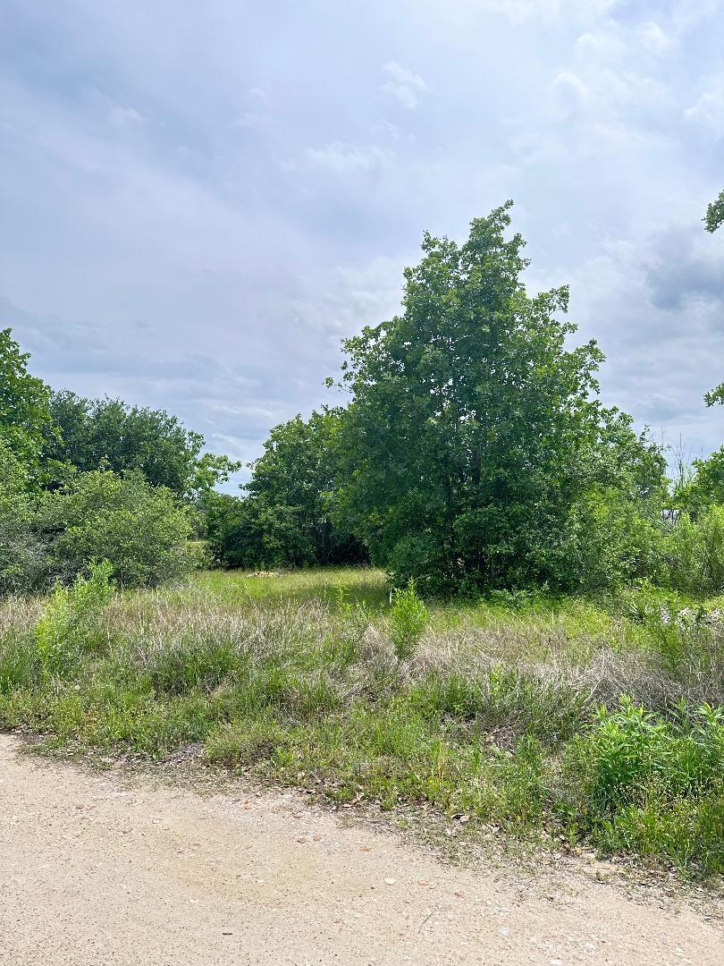 Listing photo 1 of 136A  Wild Bird Loop