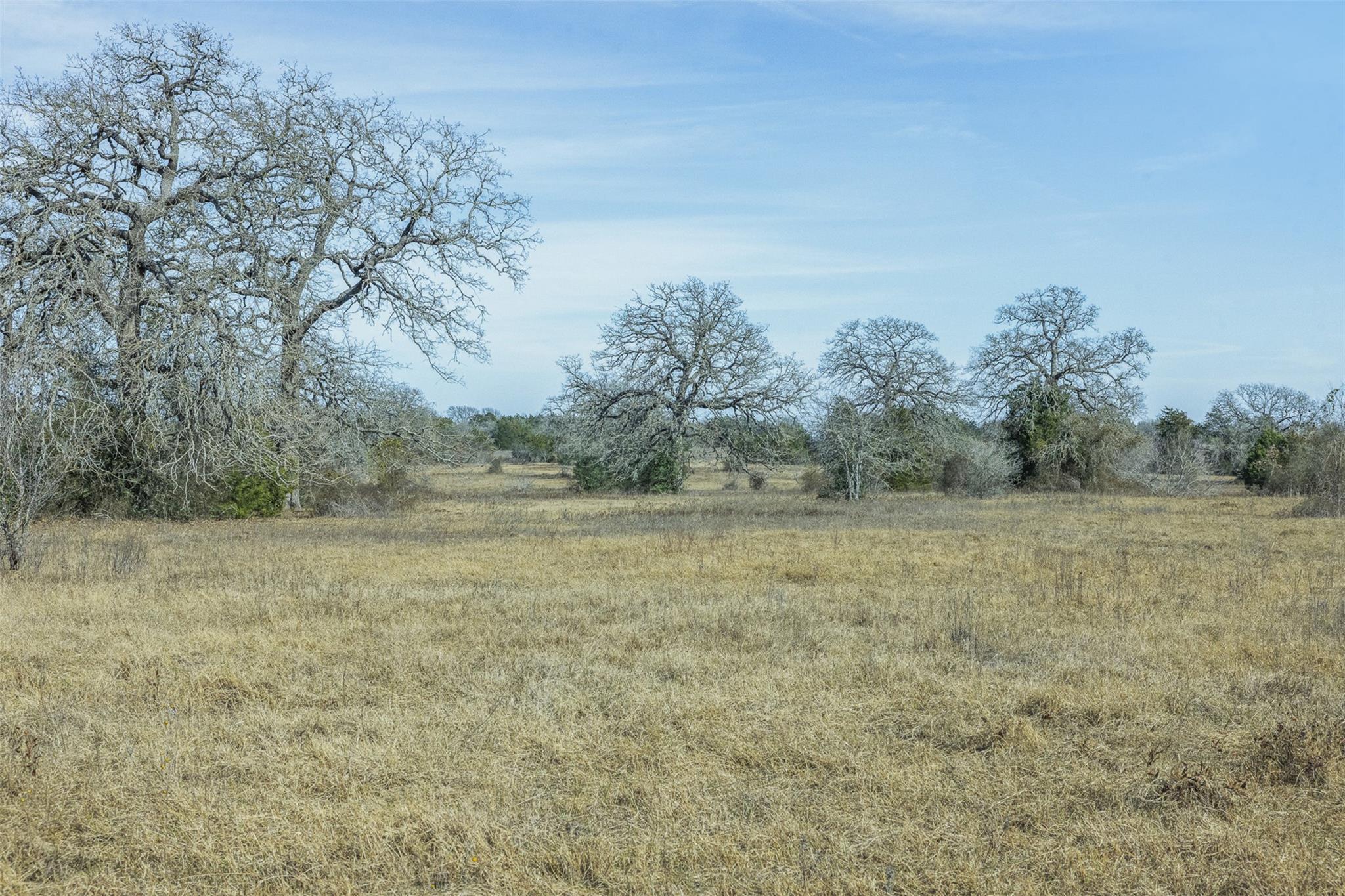 View of local wilderness featuring rural landscape