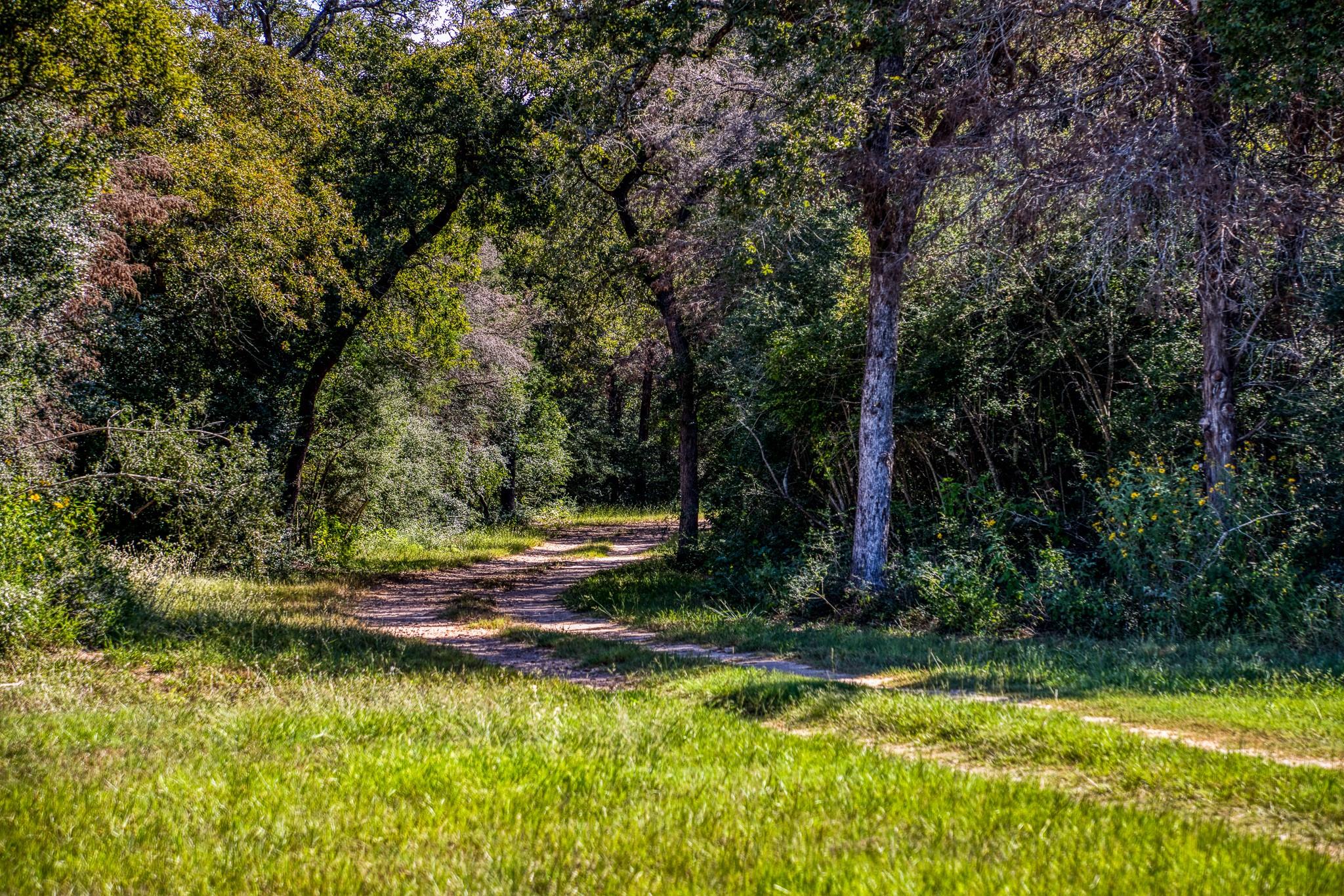 Listing photo 1 of 3336  County Road 326 None