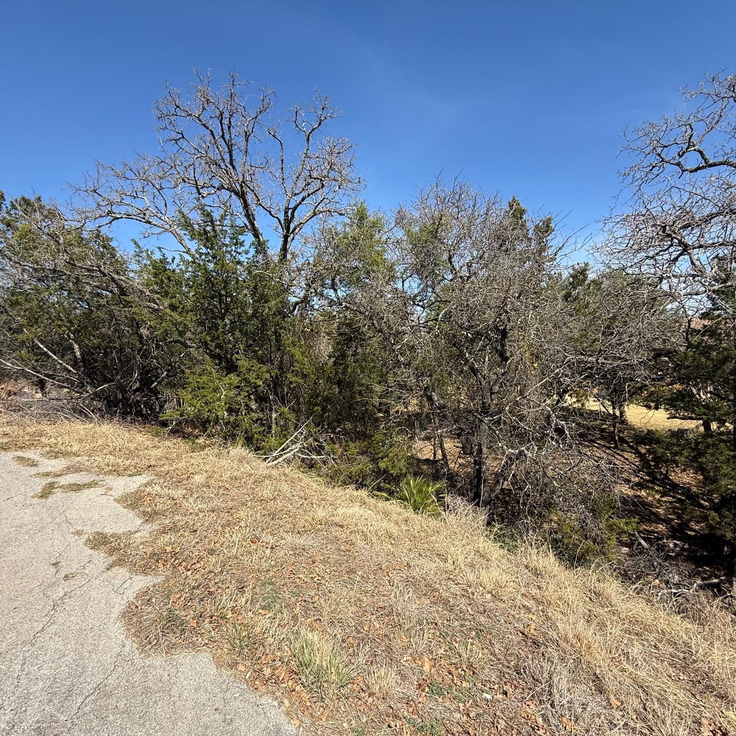 View of local wilderness