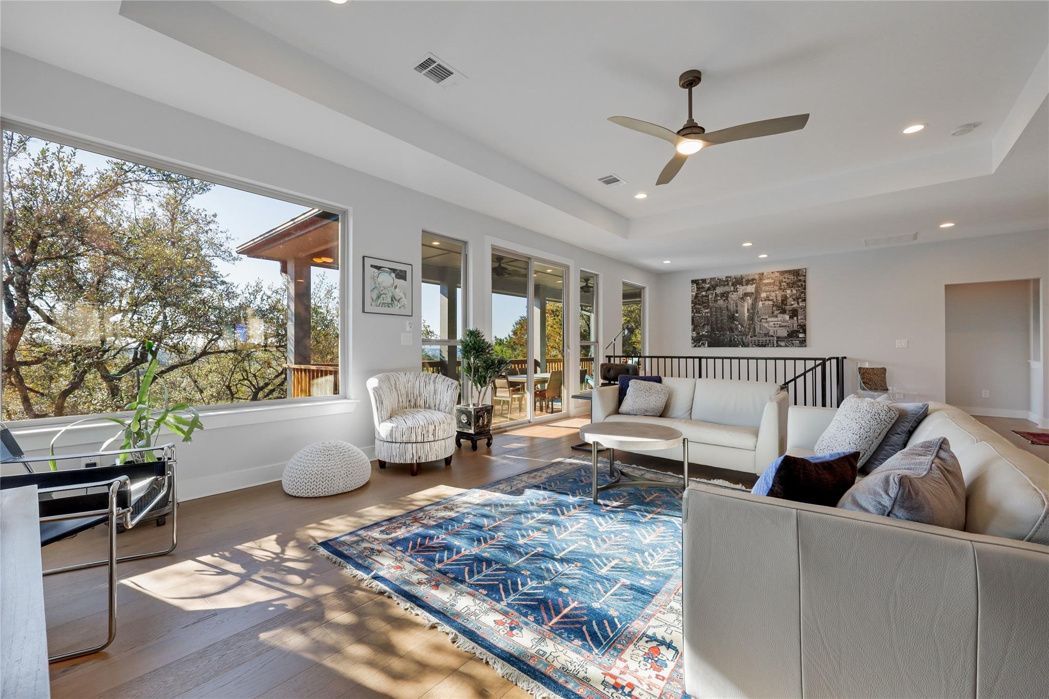 Living area featuring a raised ceiling, ceiling f