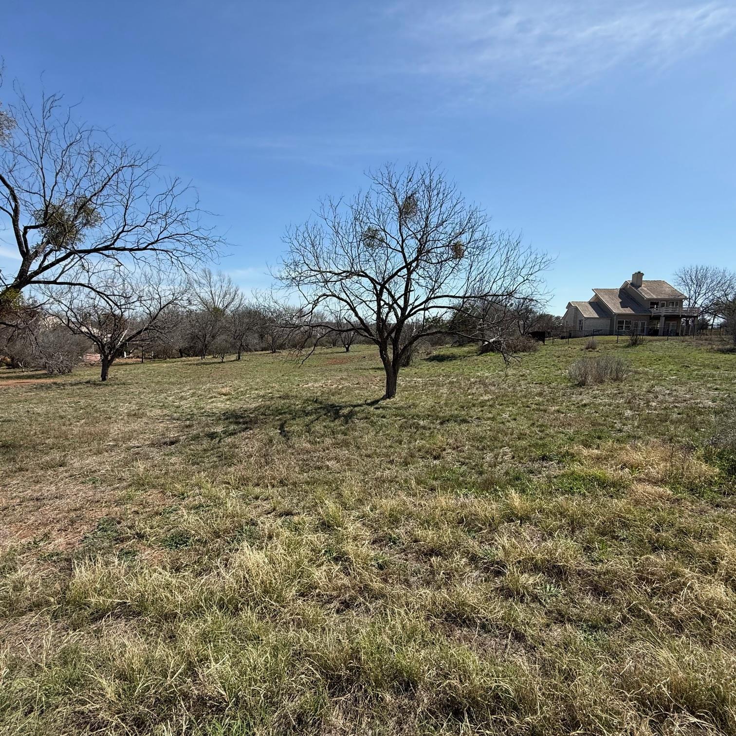 View of yard with a rural view