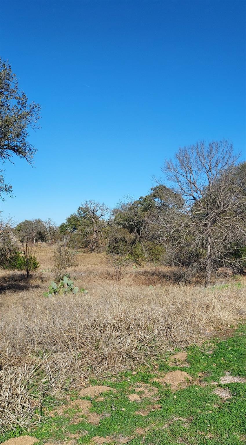 View of undeveloped land featuring rural landscape