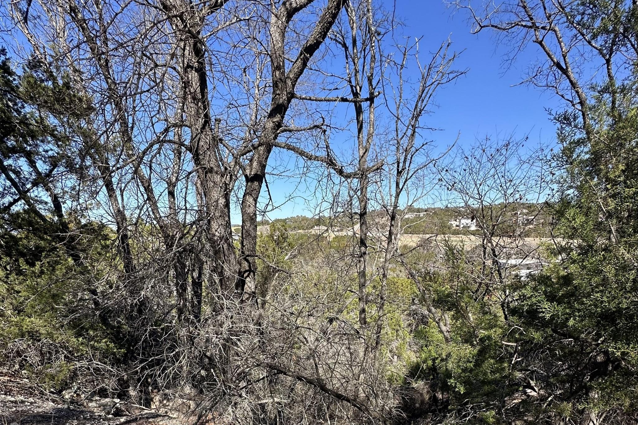 View of local wilderness