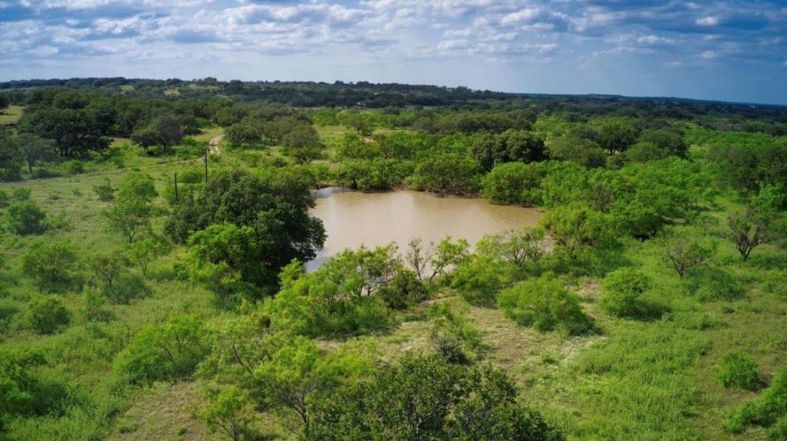 Aerial view of a large body of water and a forest