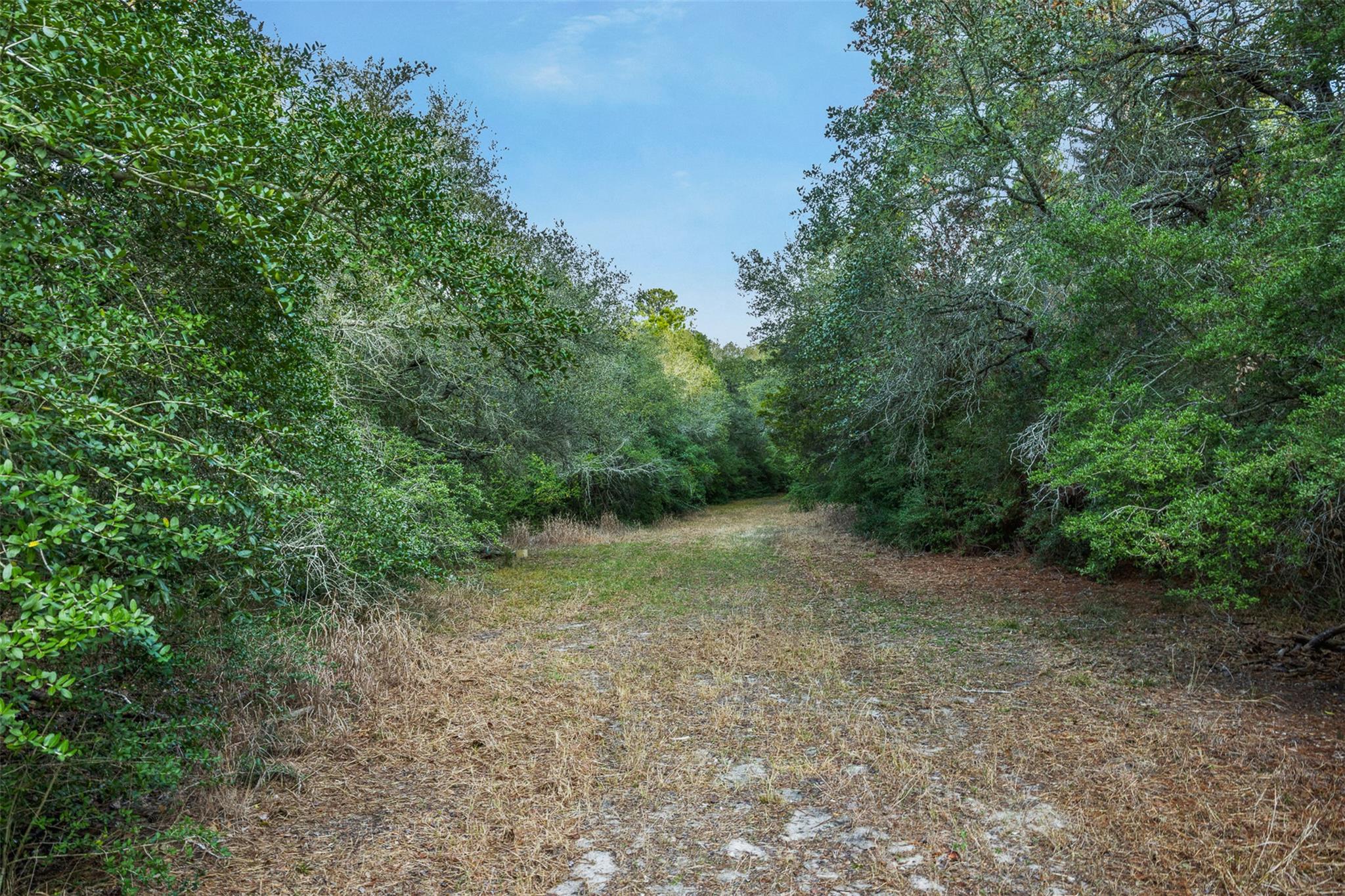 Listing photo 1 of 1200  Highway 71 Byp