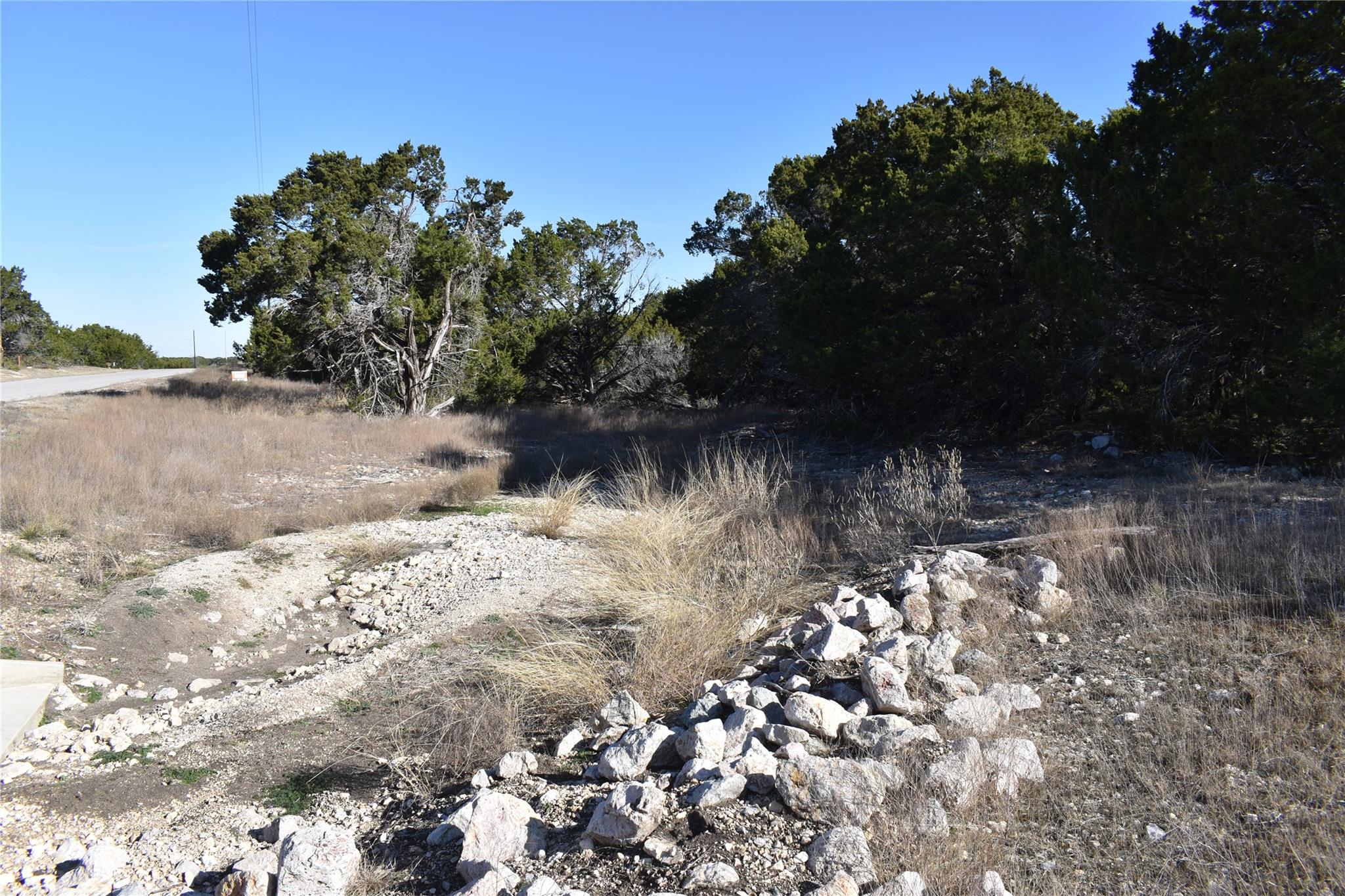 View of local wilderness