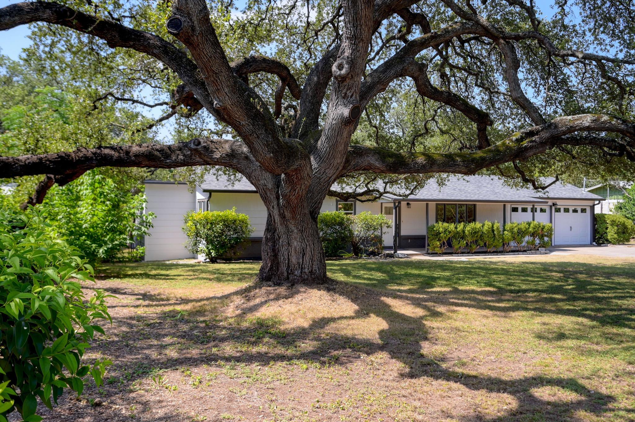 A majestic oak tree frames this charming residenc
