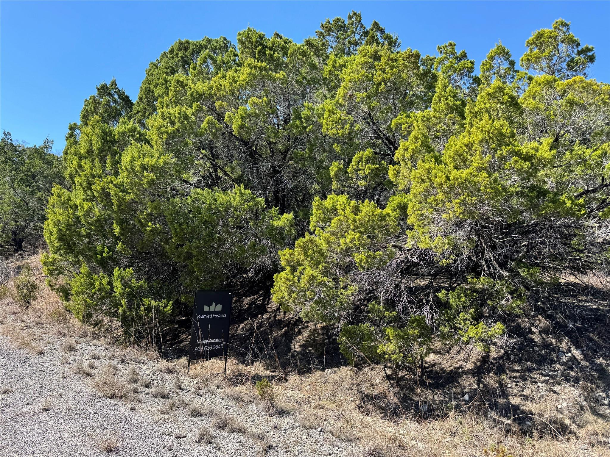 Listing photo 1 of 8700  Tegua Cv