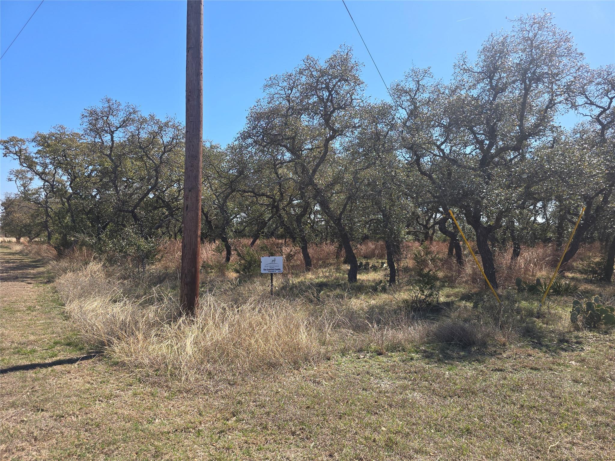 Listing photo 1 of lot 211  Axis Way