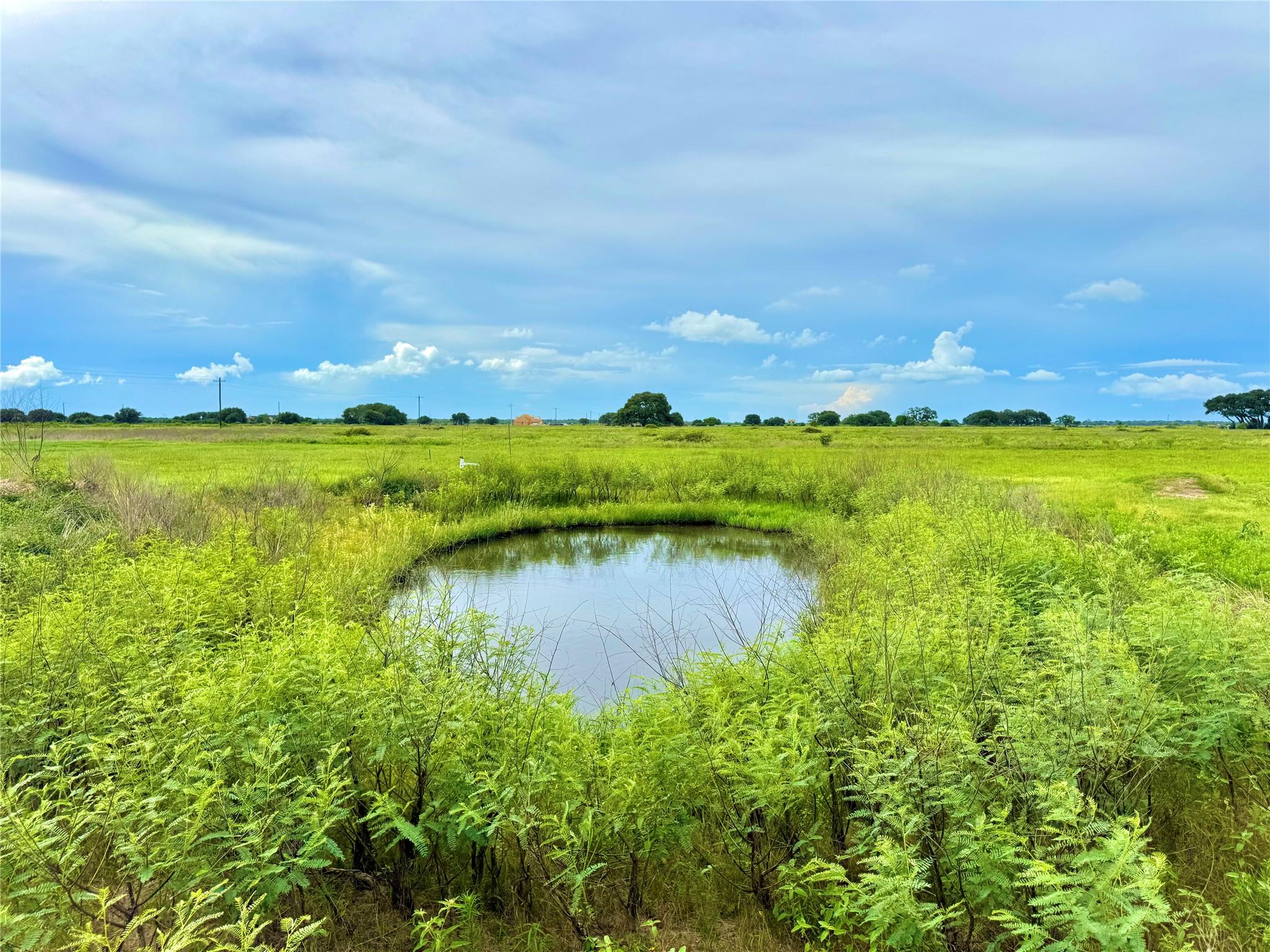 Water view featuring rural landscape