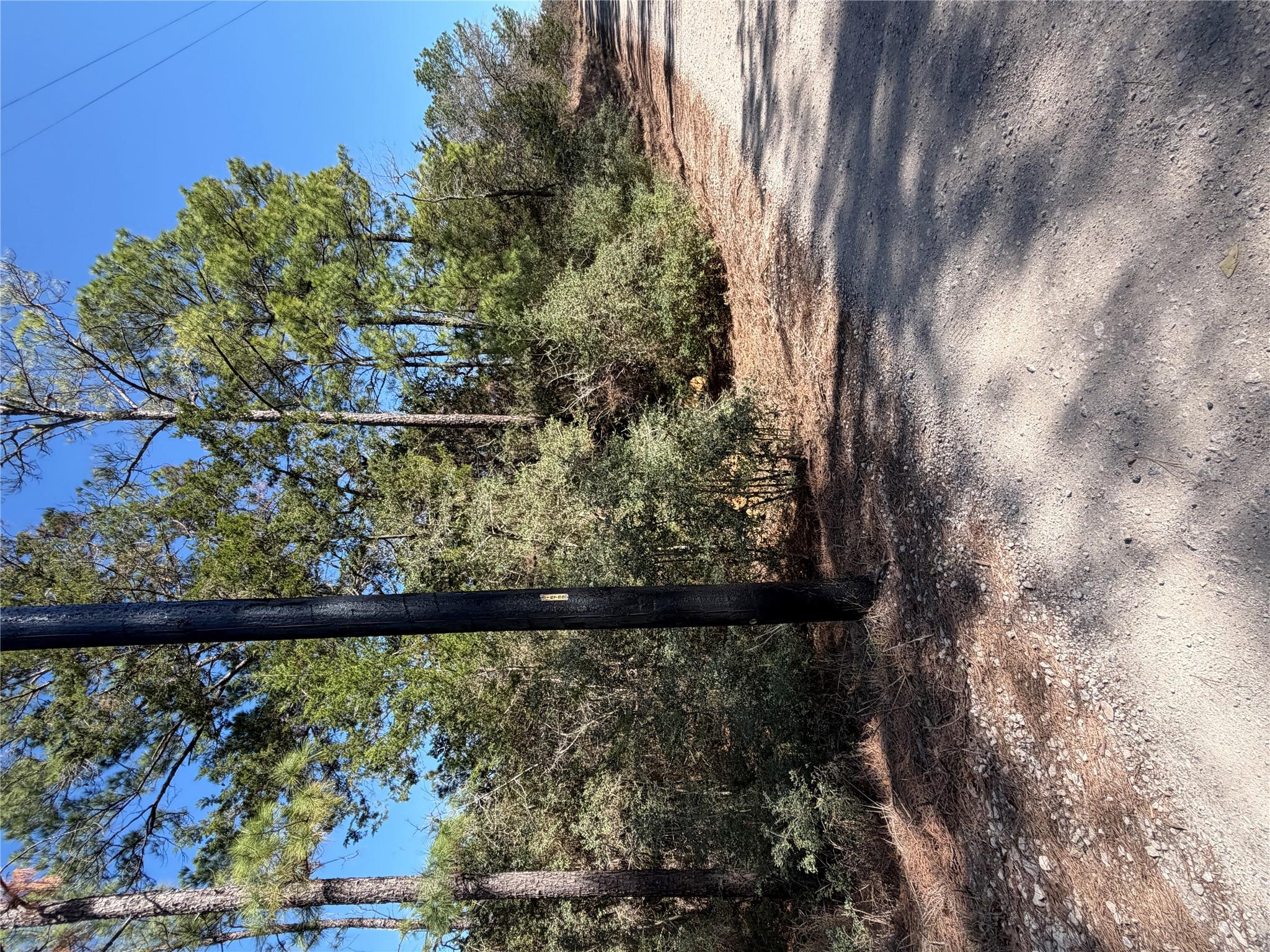 View of road