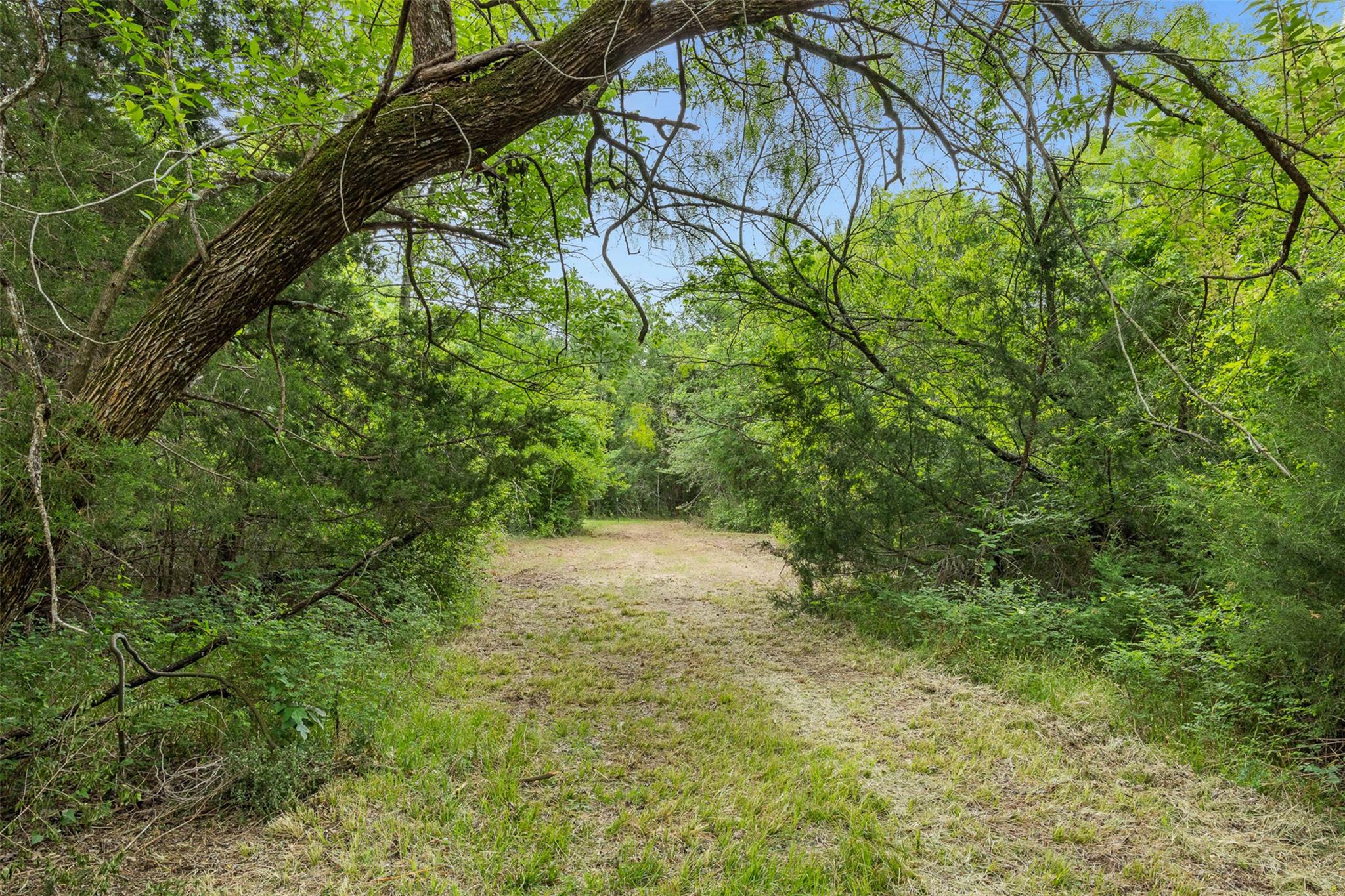 Listing photo 1 of 3797  County Road 328 None