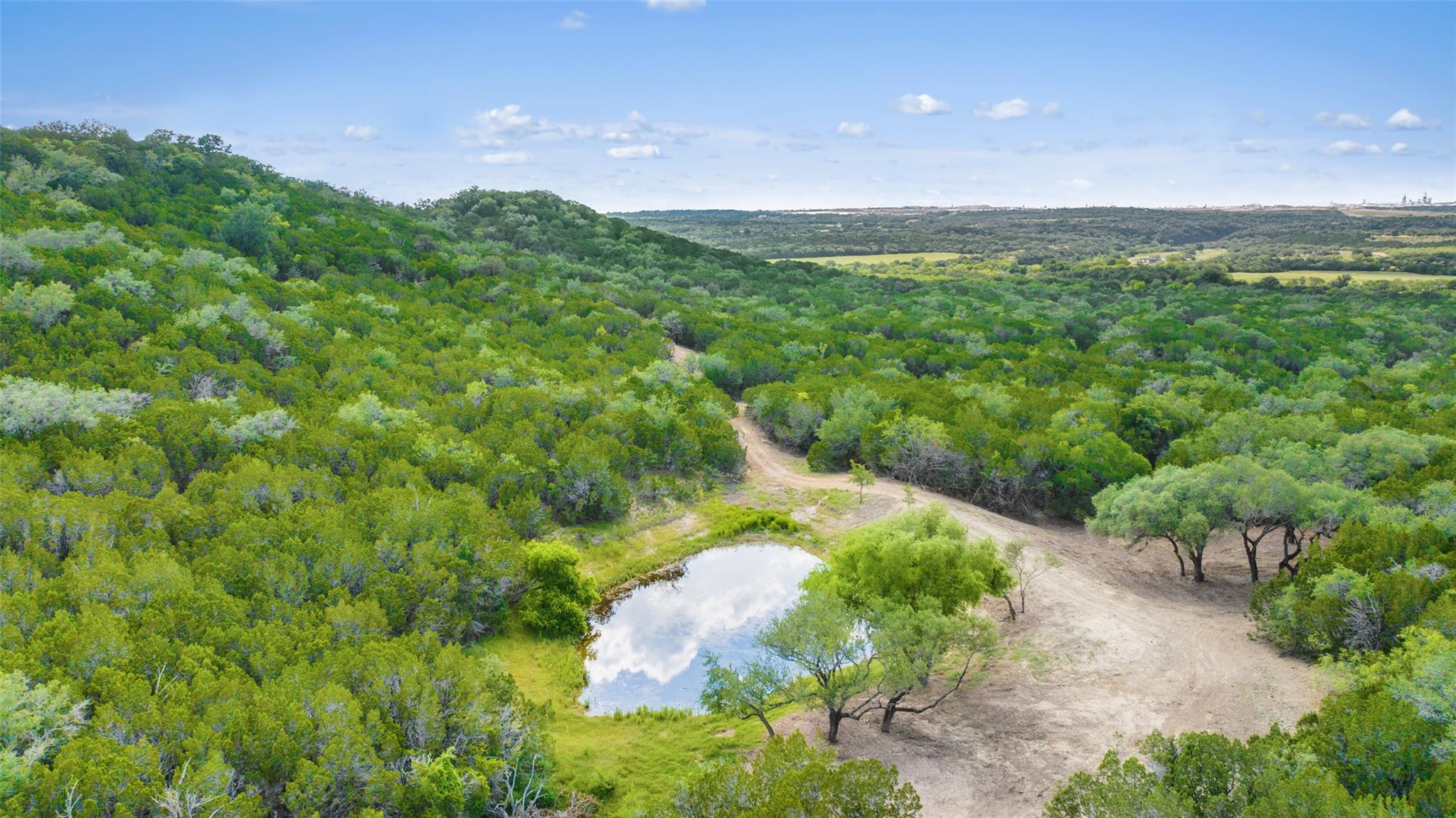Drone / aerial view of a forest and a nearby body