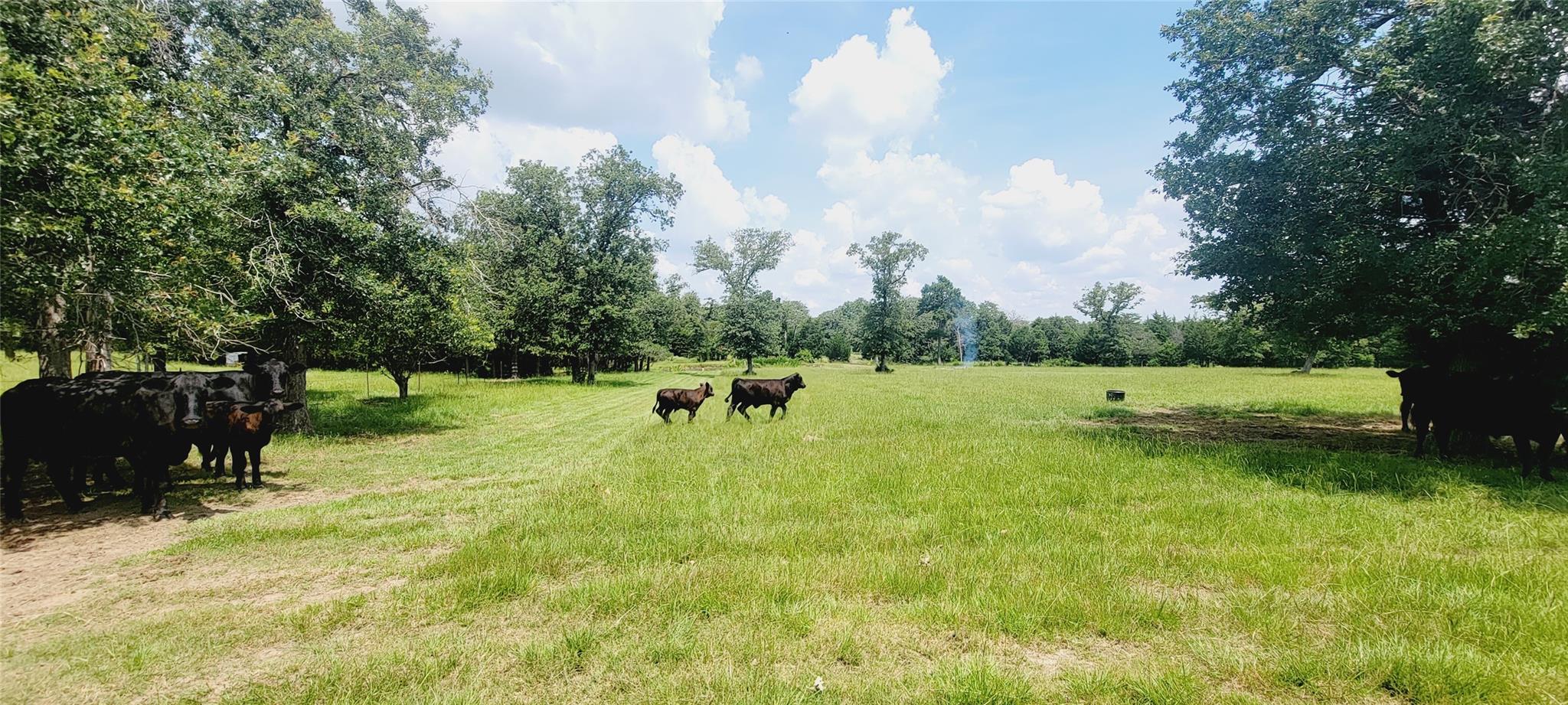 3321  County Road 457 None 매물 사진 1